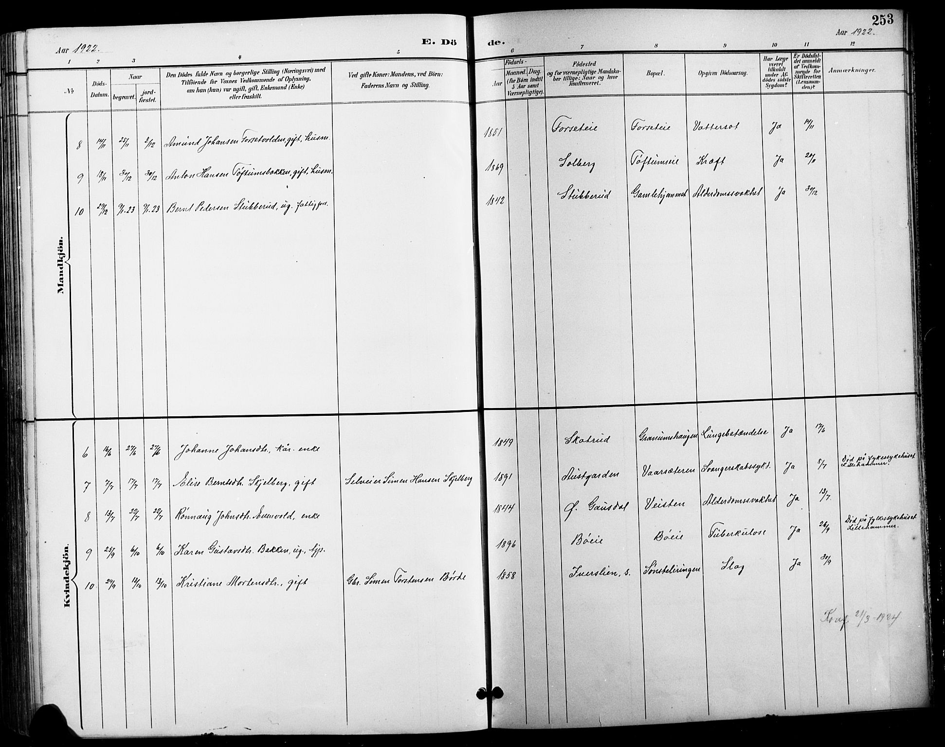Vestre Gausdal prestekontor, SAH/PREST-094/H/Ha/Hab/L0003: Parish register (copy) no. 3, 1896-1925, p. 253