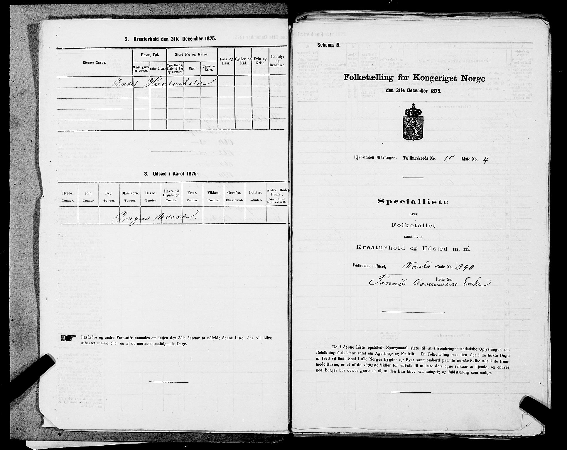 SAST, 1875 census for 1103 Stavanger, 1875, p. 1823