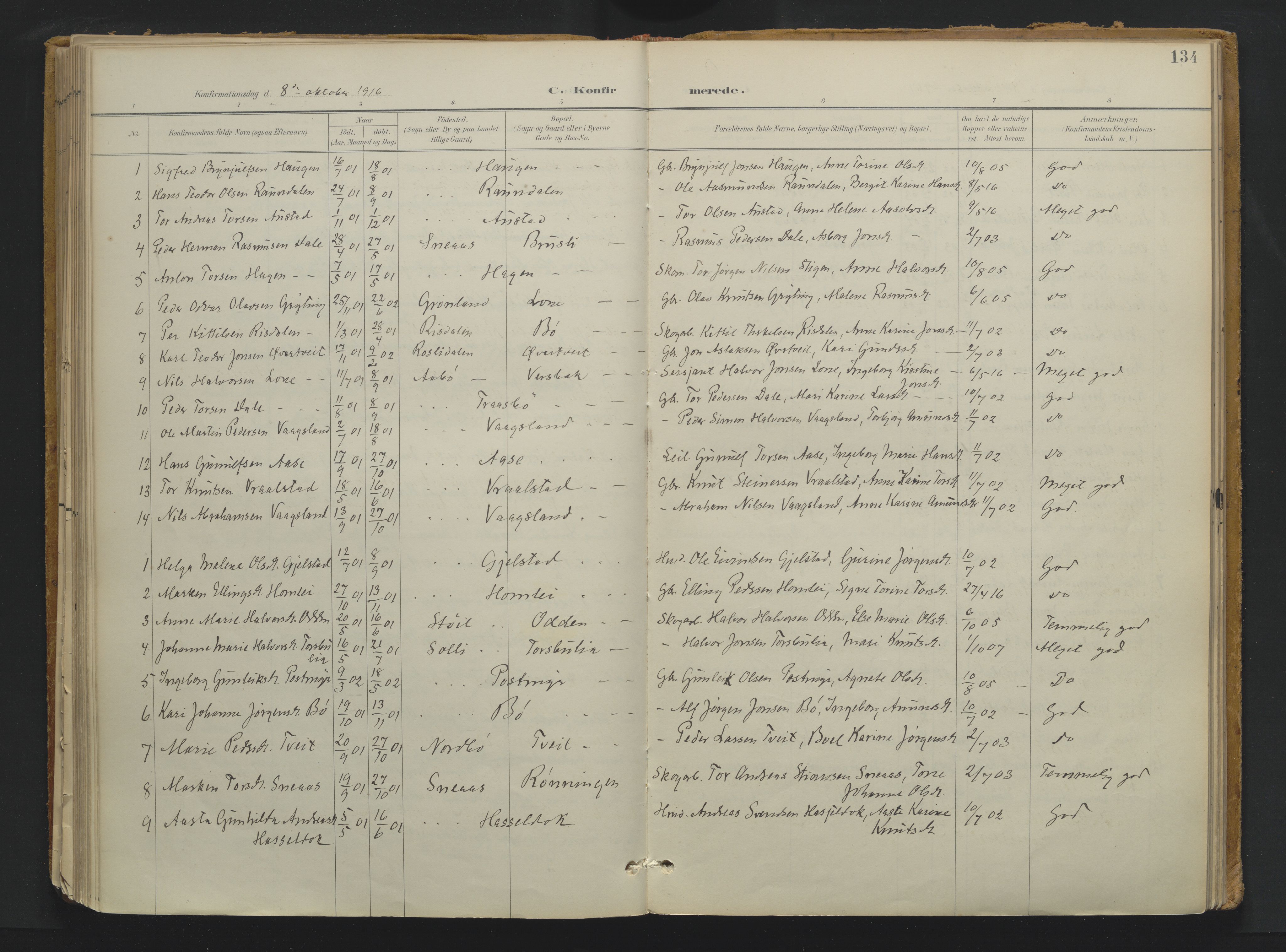 Drangedal kirkebøker, SAKO/A-258/F/Fa/L0013: Parish register (official) no. 13, 1895-1919, p. 134