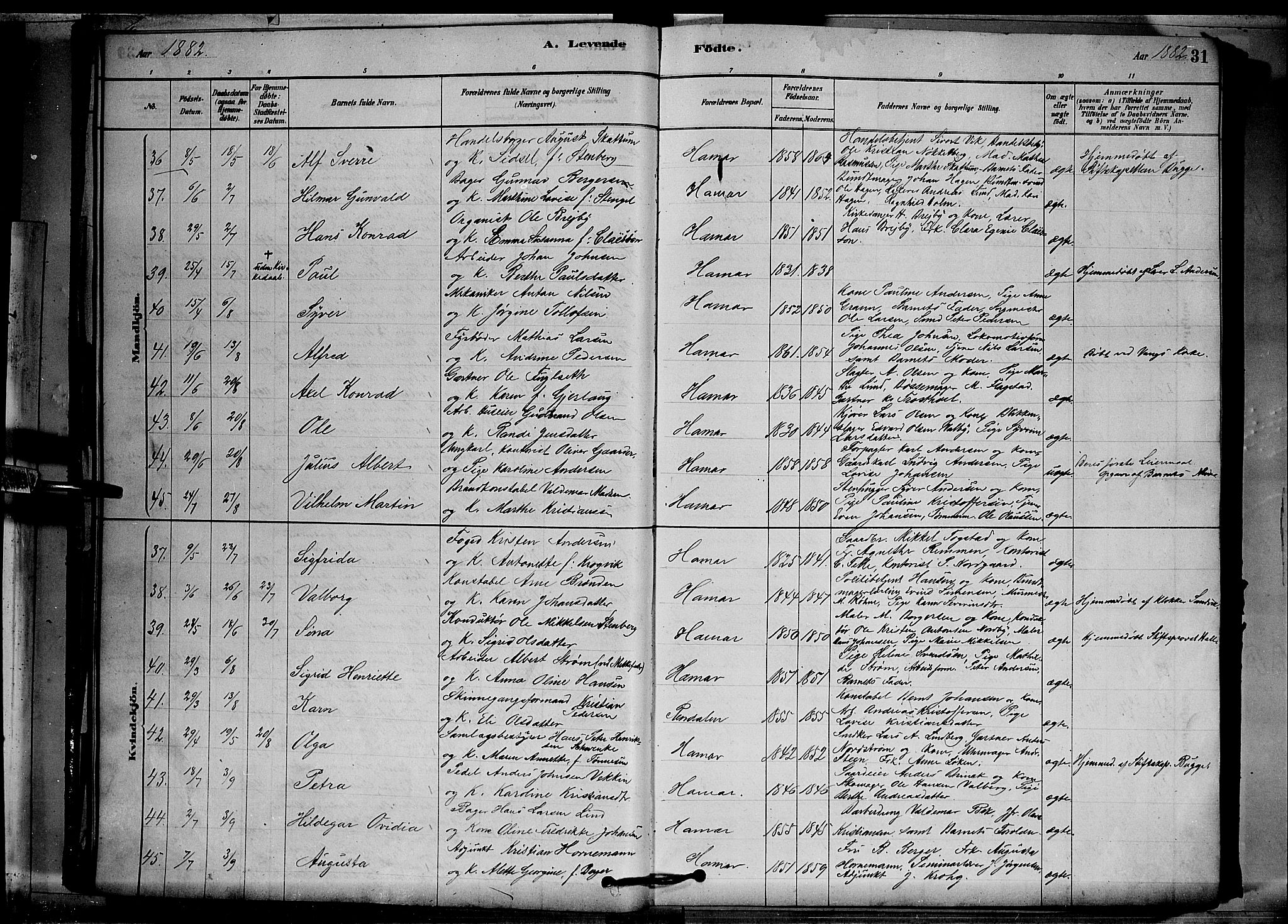 Vang prestekontor, Hedmark, SAH/PREST-008/H/Ha/Hab/L0012: Parish register (copy) no. 12, 1878-1889, p. 31