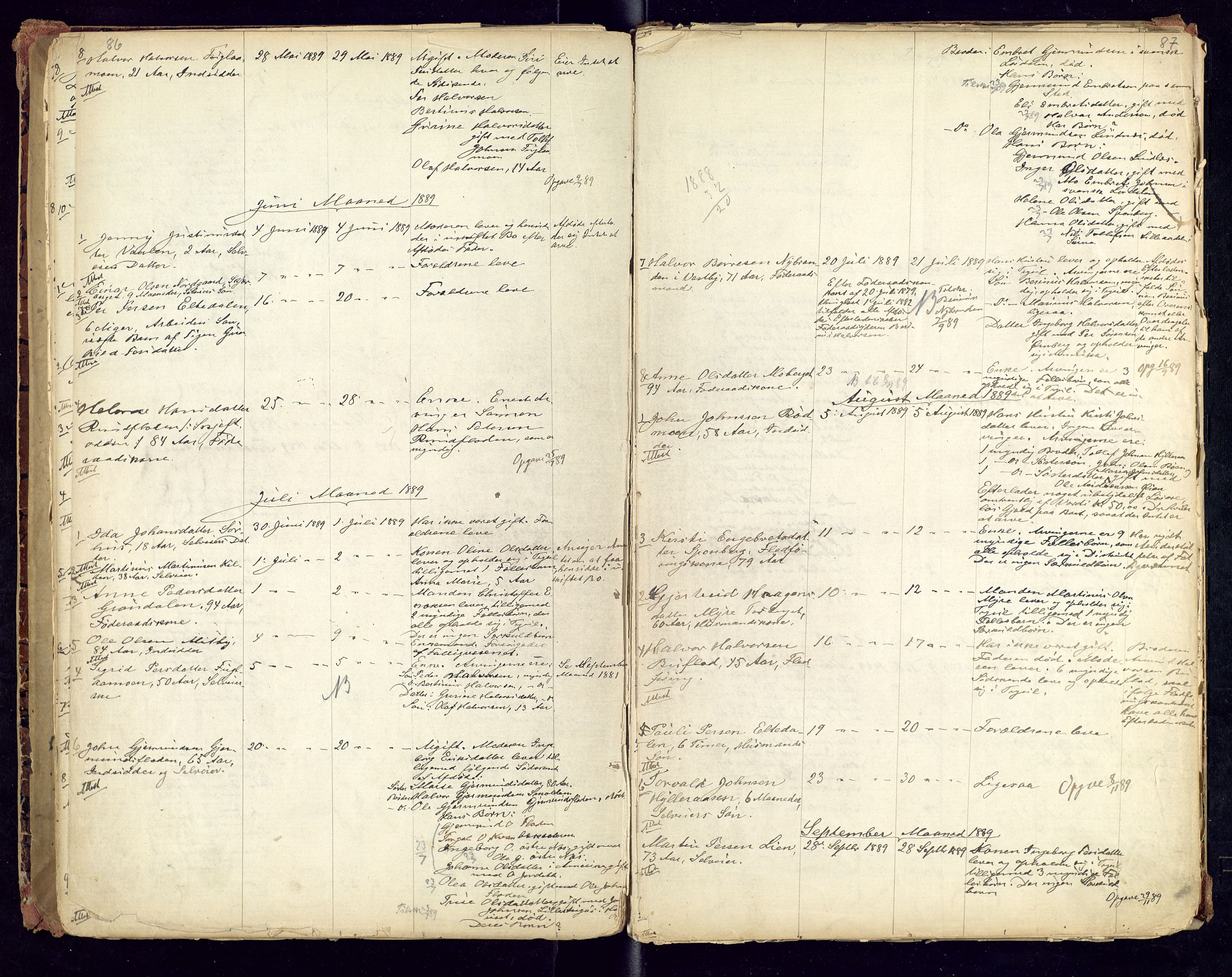 Trysil lensmannskontor, AV/SAH-LHT-026/H/Ha/L0001: Dødsfallsprotokoll, 1875-1901, p. 86-87