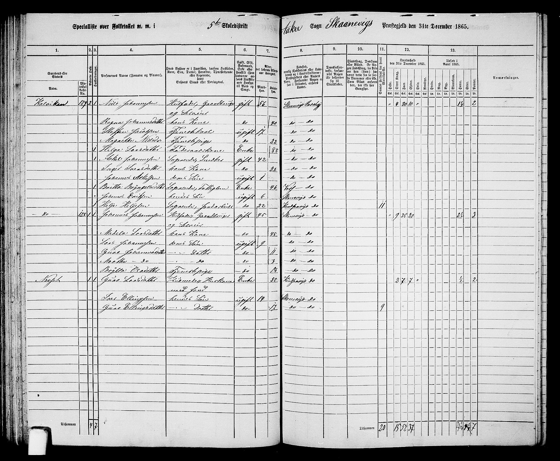 RA, 1865 census for Skånevik, 1865, p. 84