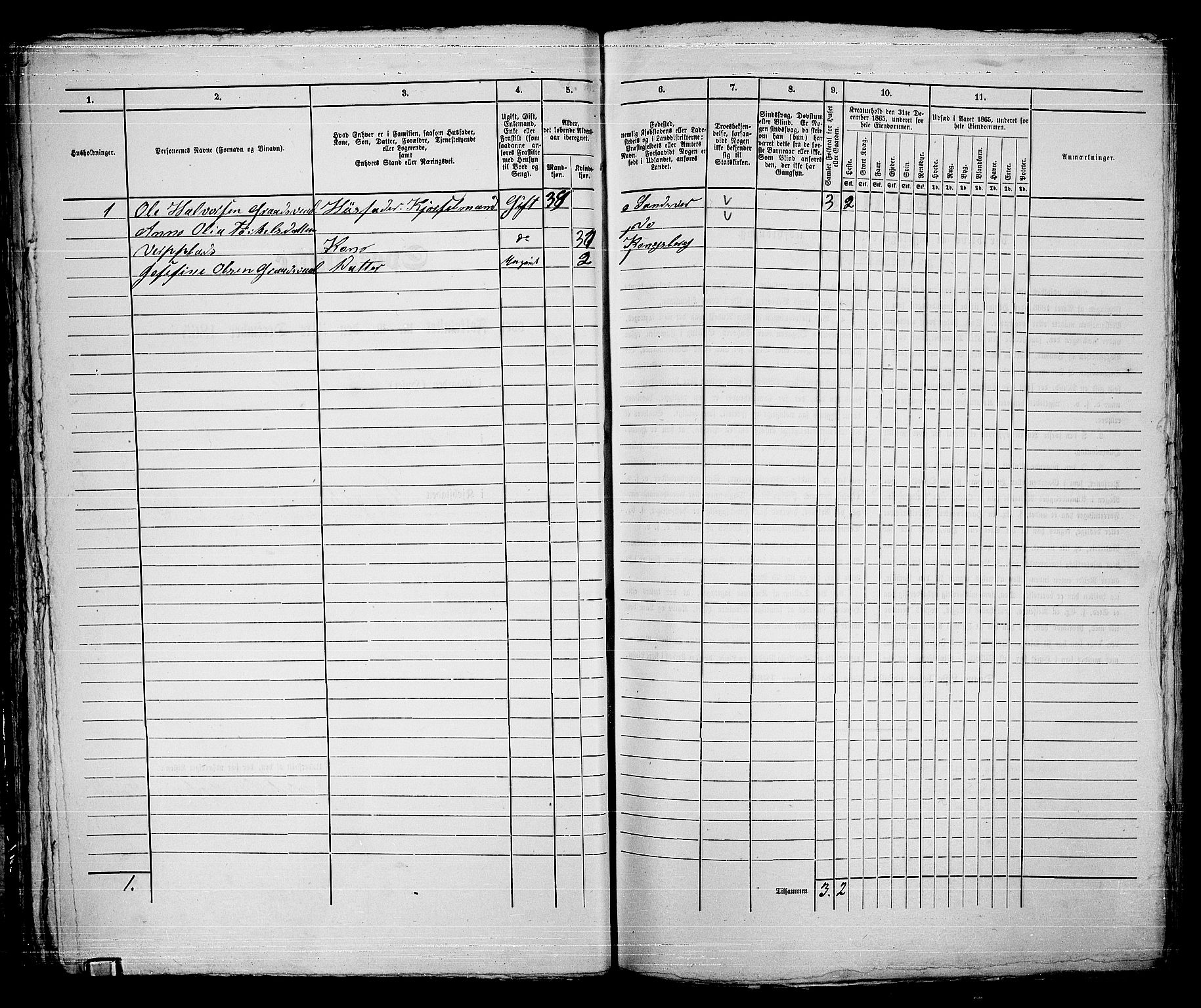 RA, 1865 census for Kongsberg/Kongsberg, 1865, p. 567