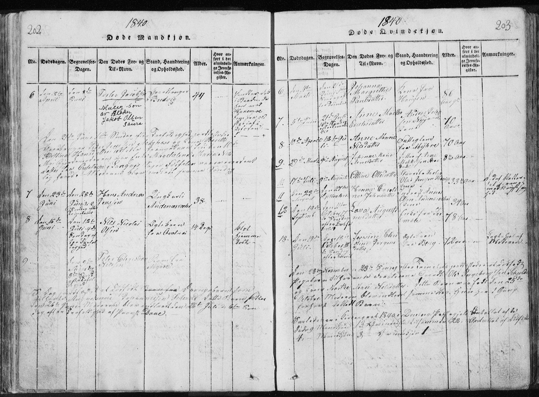 Ministerialprotokoller, klokkerbøker og fødselsregistre - Nordland, AV/SAT-A-1459/897/L1411: Parish register (copy) no. 897C01, 1820-1866, p. 202-203