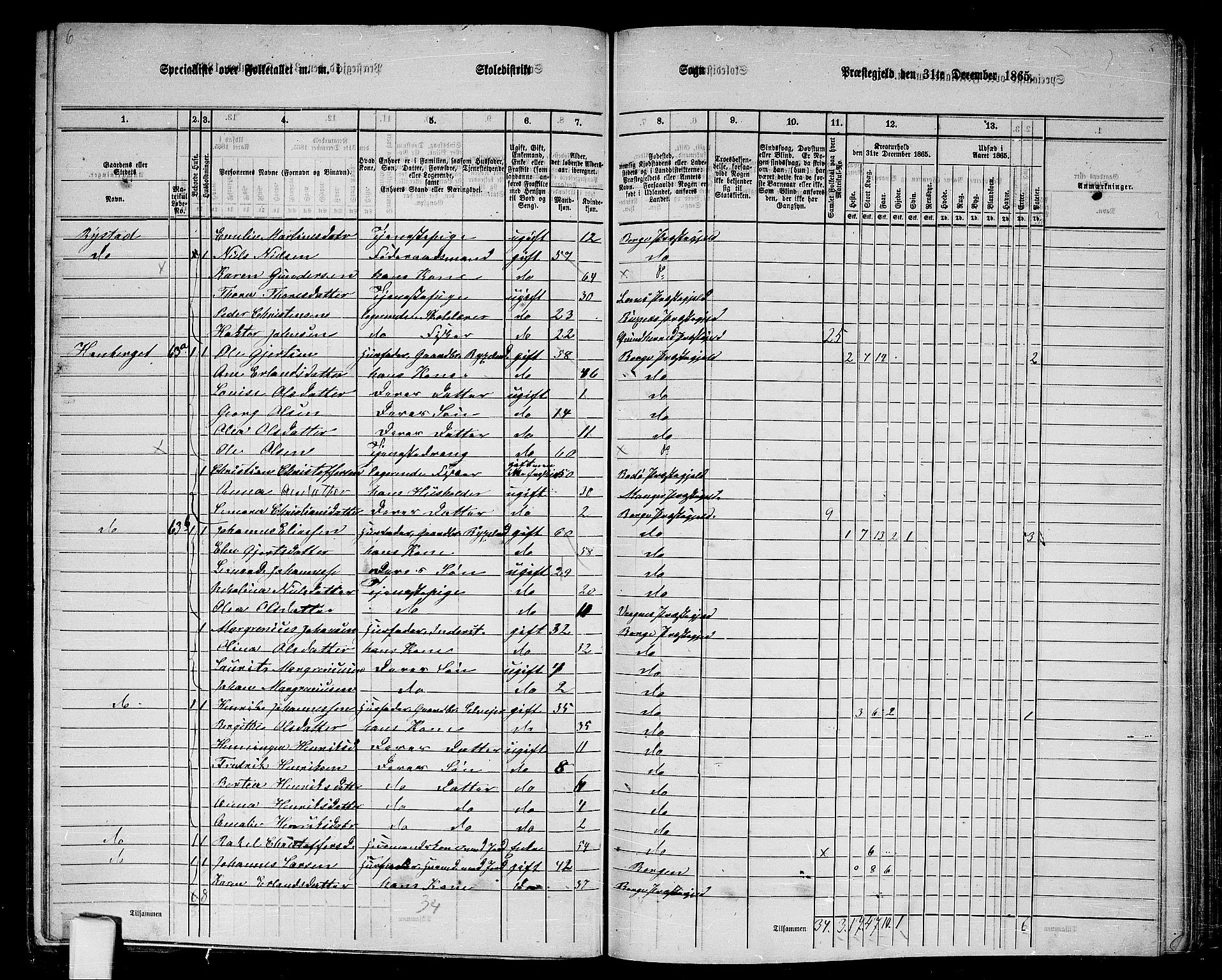 RA, 1865 census for Borge, 1865, p. 29