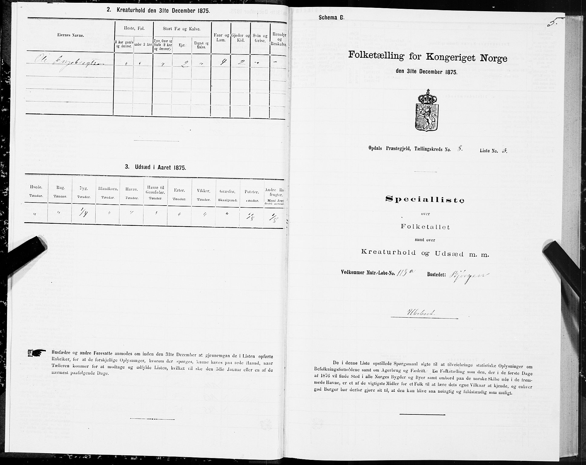 SAT, 1875 census for 1634P Oppdal, 1875, p. 5005