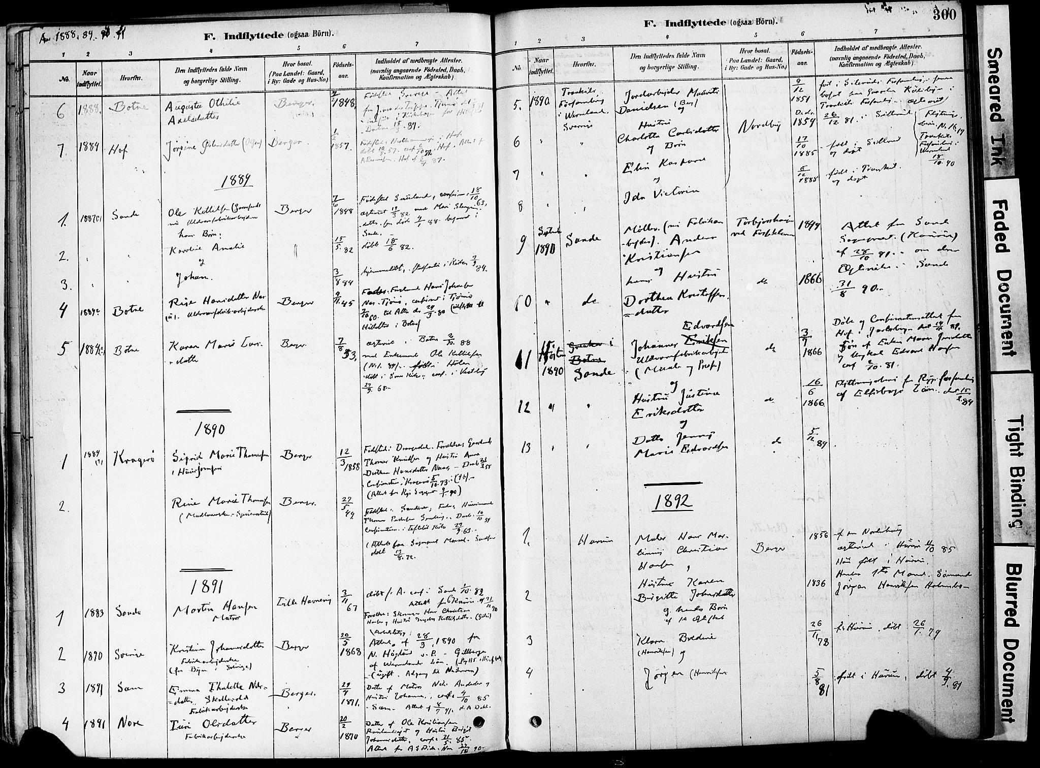 Strømm kirkebøker, AV/SAKO-A-322/F/Fa/L0004: Parish register (official) no. I 4, 1878-1899, p. 300