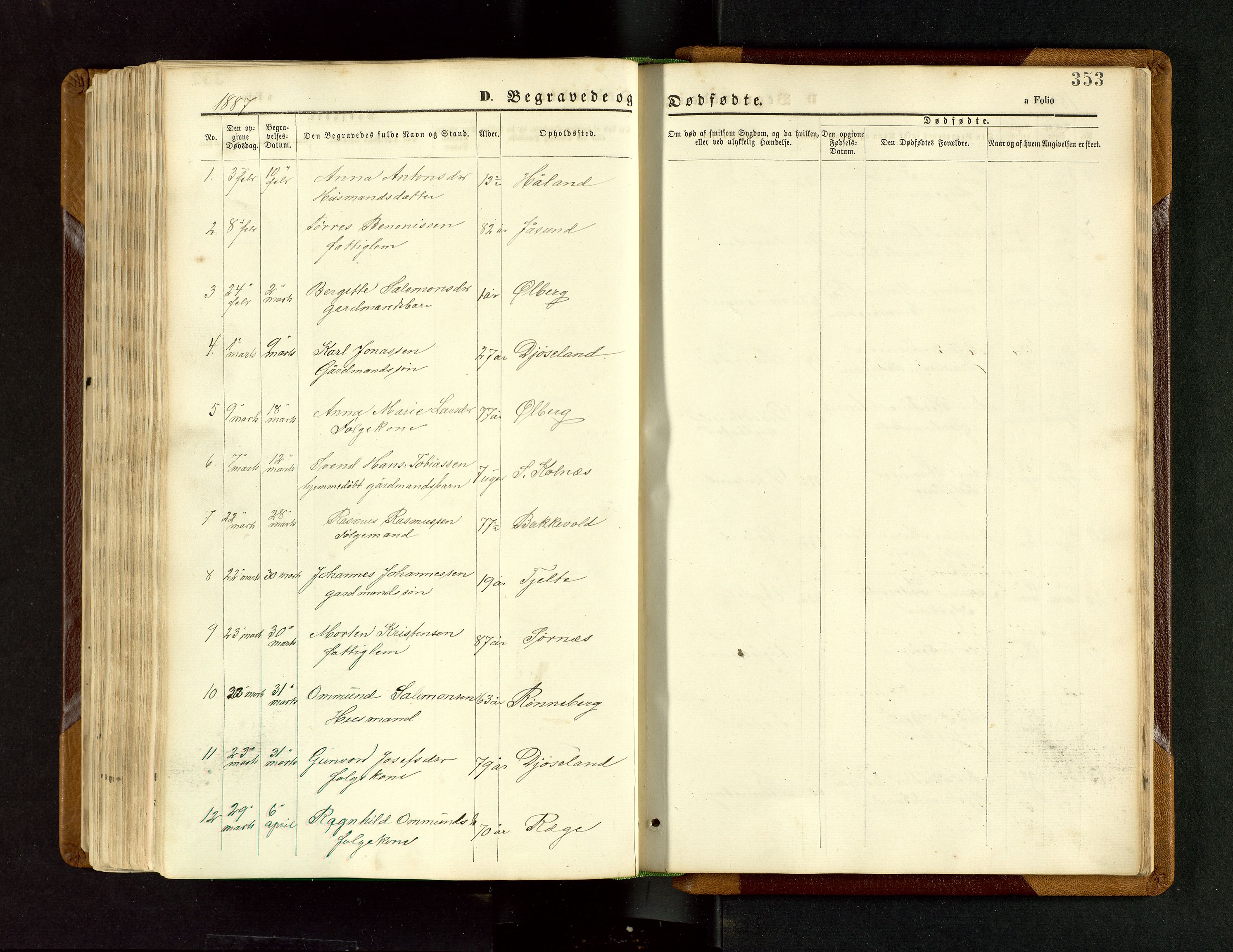 Håland sokneprestkontor, SAST/A-101802/001/30BB/L0003: Parish register (copy) no. B 3, 1873-1893, p. 353