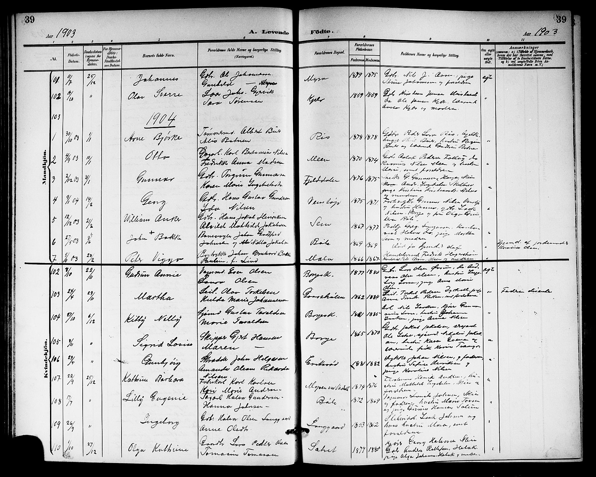 Gjerpen kirkebøker, SAKO/A-265/G/Ga/L0003: Parish register (copy) no. I 3, 1901-1919, p. 39