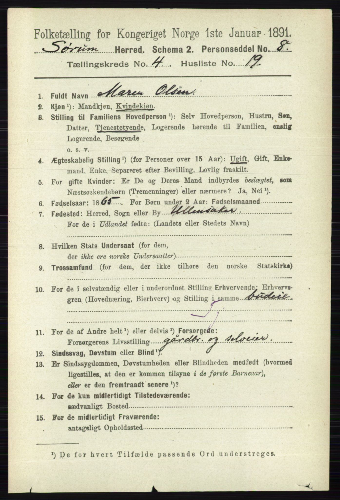 RA, 1891 census for 0226 Sørum, 1891, p. 2002