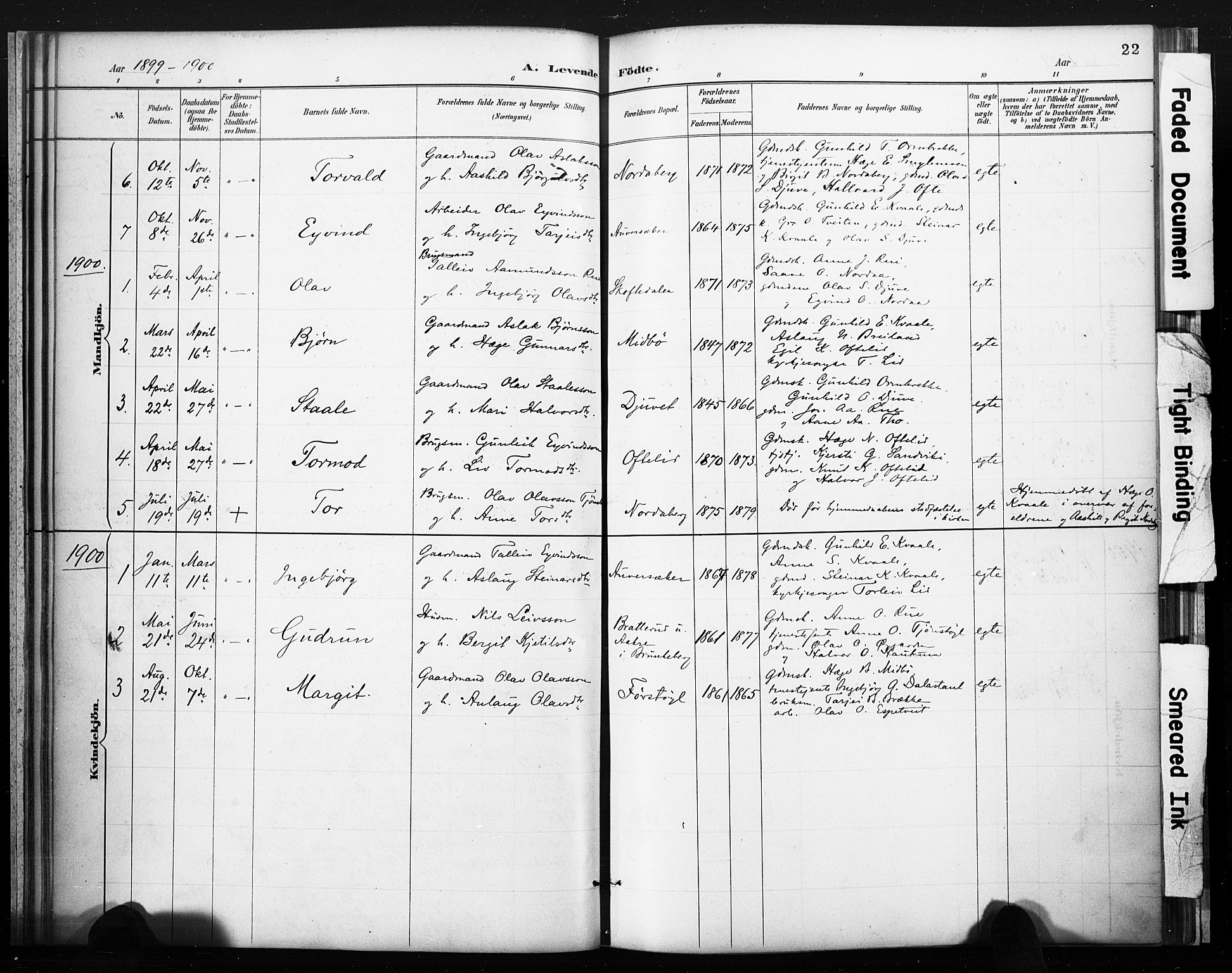 Lårdal kirkebøker, SAKO/A-284/F/Fc/L0002: Parish register (official) no. III 2, 1887-1906, p. 22