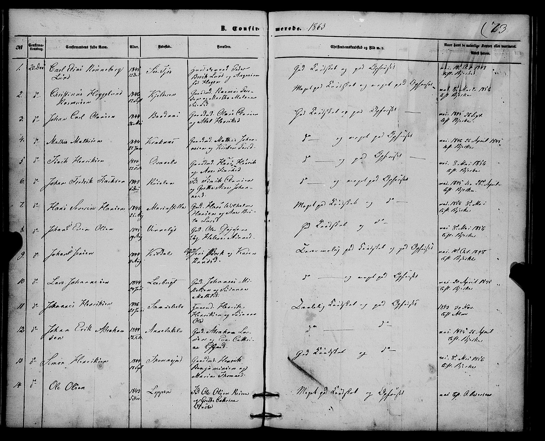 Skjervøy sokneprestkontor, SATØ/S-1300/H/Ha/Haa/L0013kirke: Parish register (official) no. 13, 1863-1877, p. 73