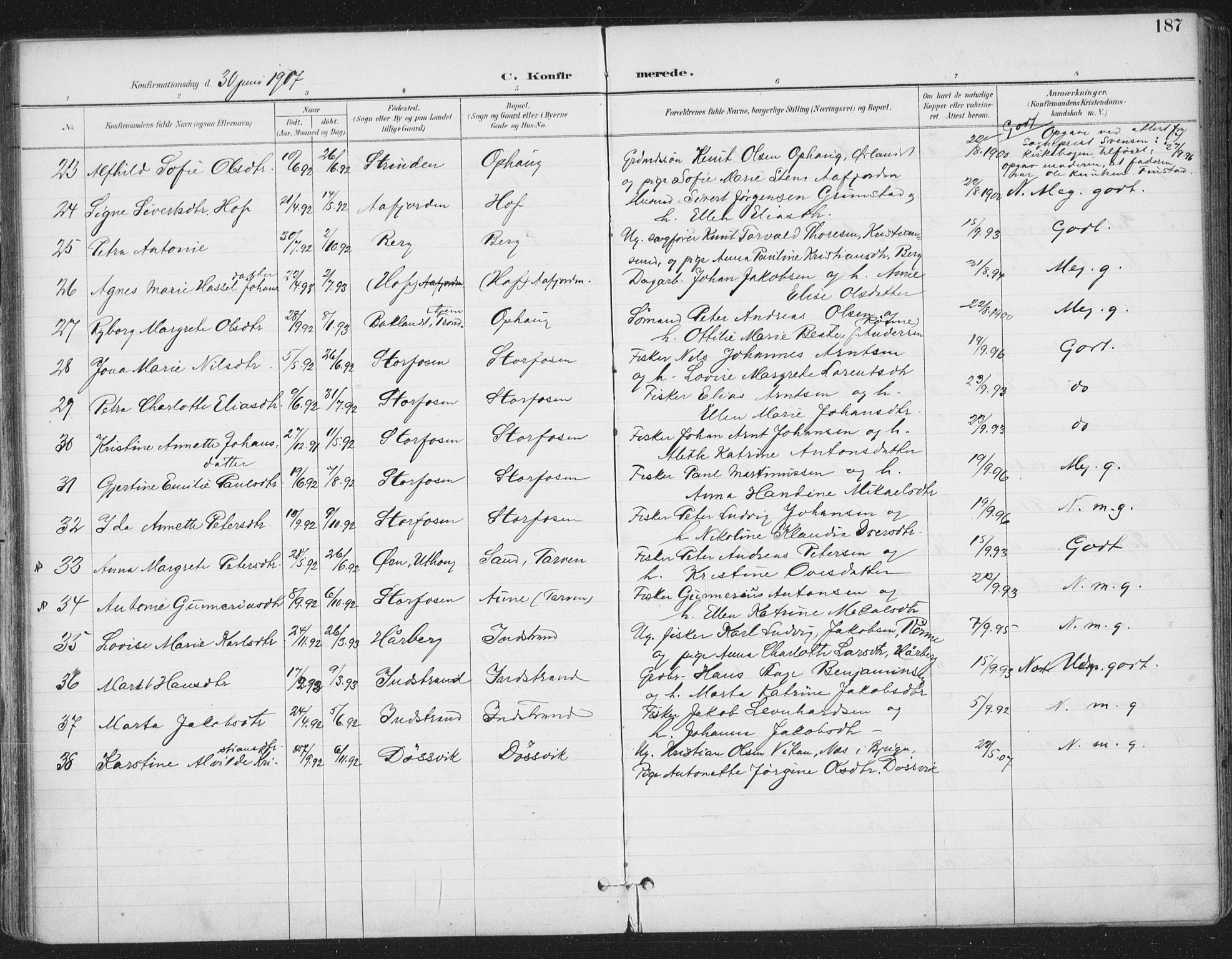 Ministerialprotokoller, klokkerbøker og fødselsregistre - Sør-Trøndelag, SAT/A-1456/659/L0743: Parish register (official) no. 659A13, 1893-1910, p. 187