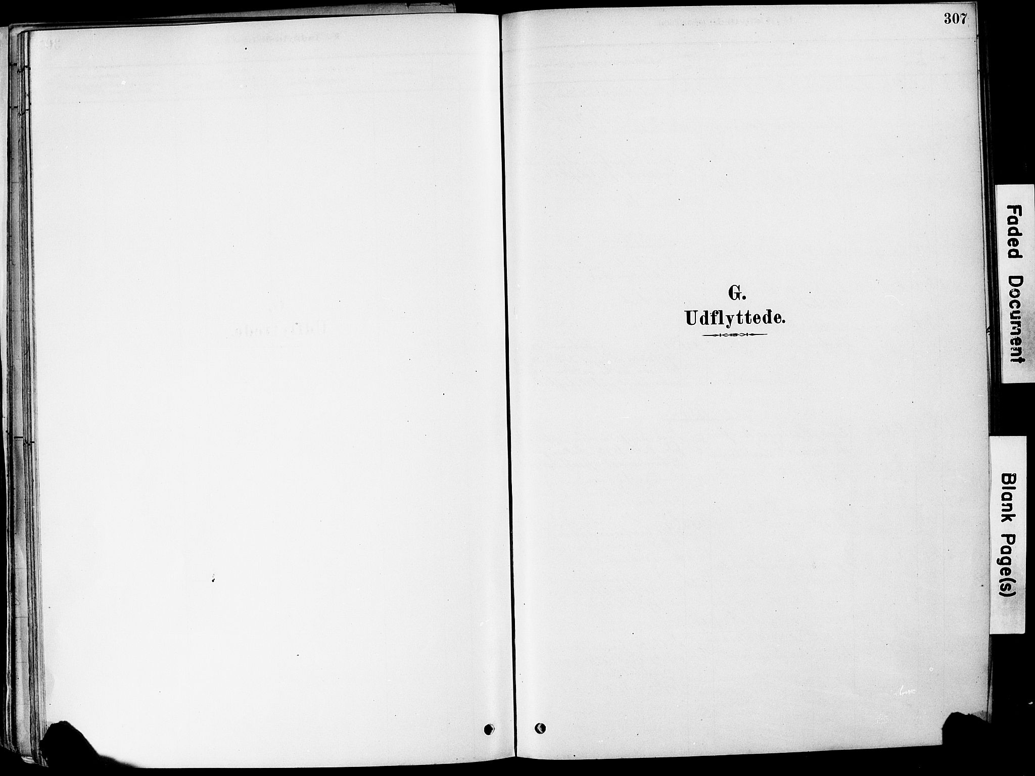 Strømm kirkebøker, AV/SAKO-A-322/F/Fa/L0004: Parish register (official) no. I 4, 1878-1899, p. 307