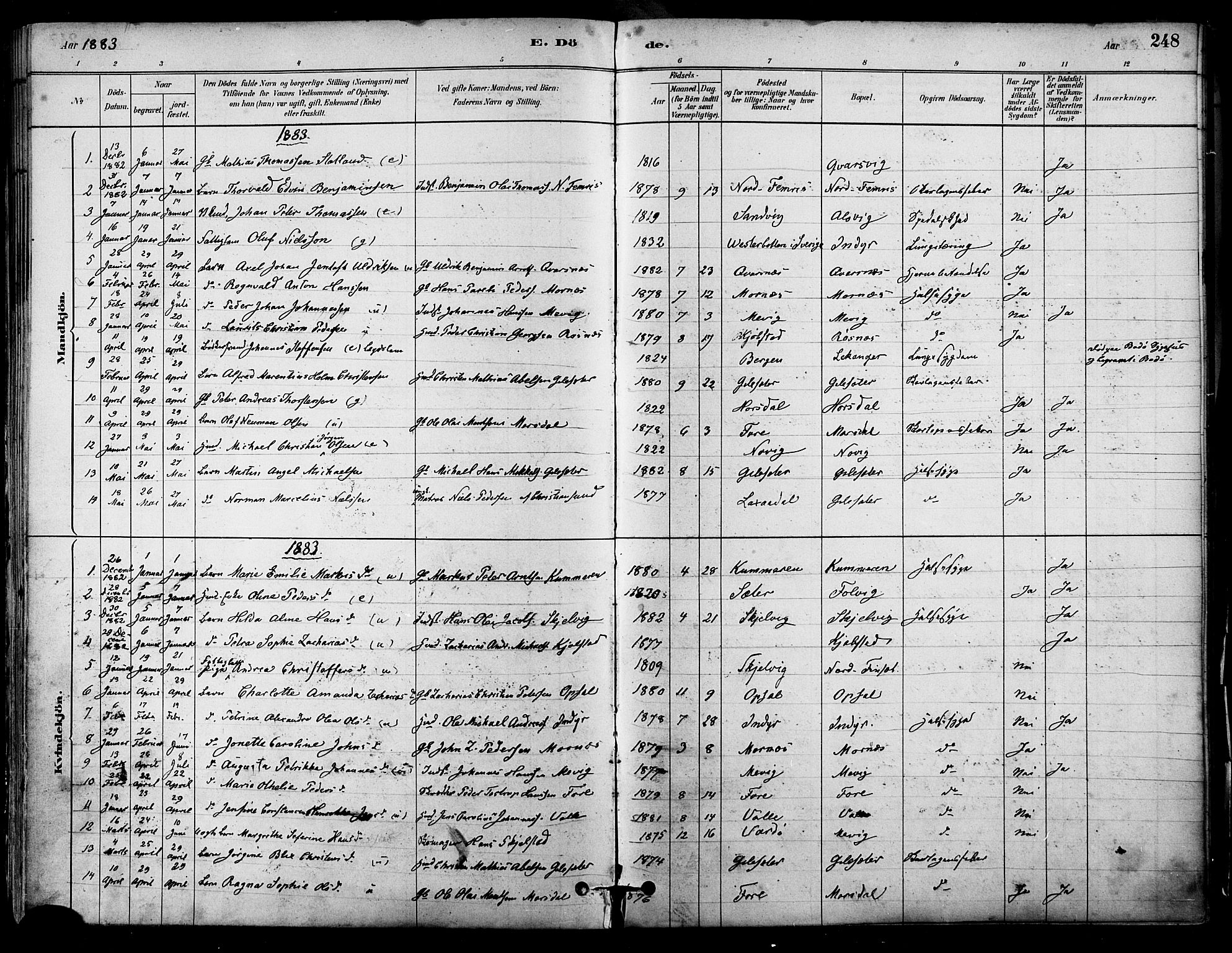 Ministerialprotokoller, klokkerbøker og fødselsregistre - Nordland, AV/SAT-A-1459/805/L0099: Parish register (official) no. 805A06, 1880-1891, p. 248