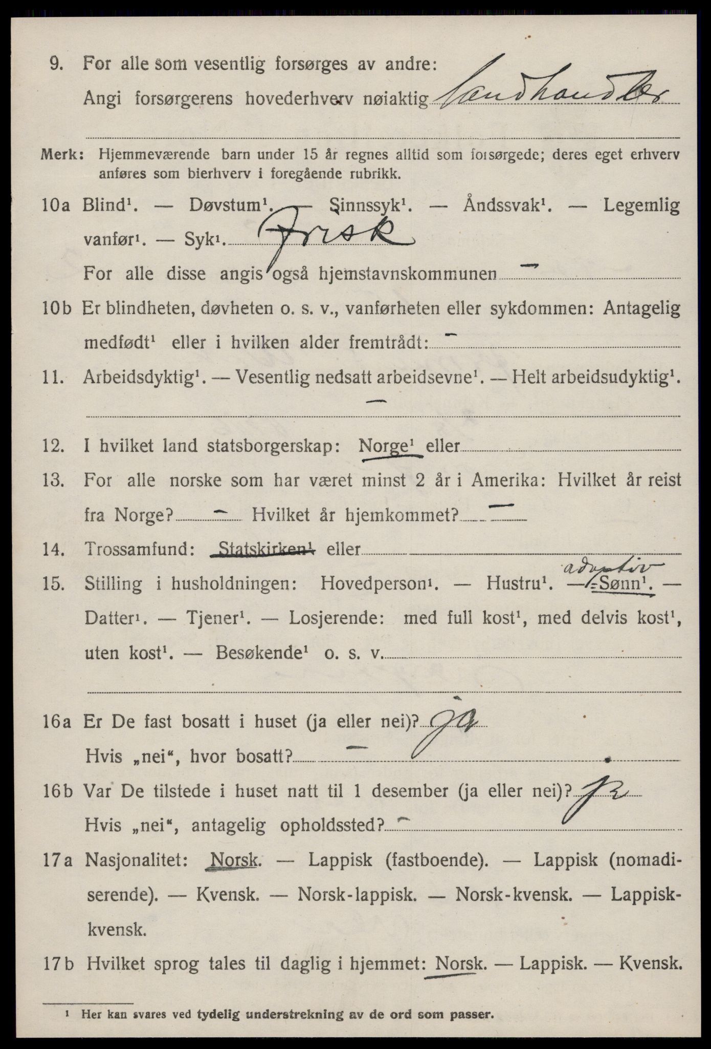 SAT, 1920 census for Nes (ST), 1920, p. 1366