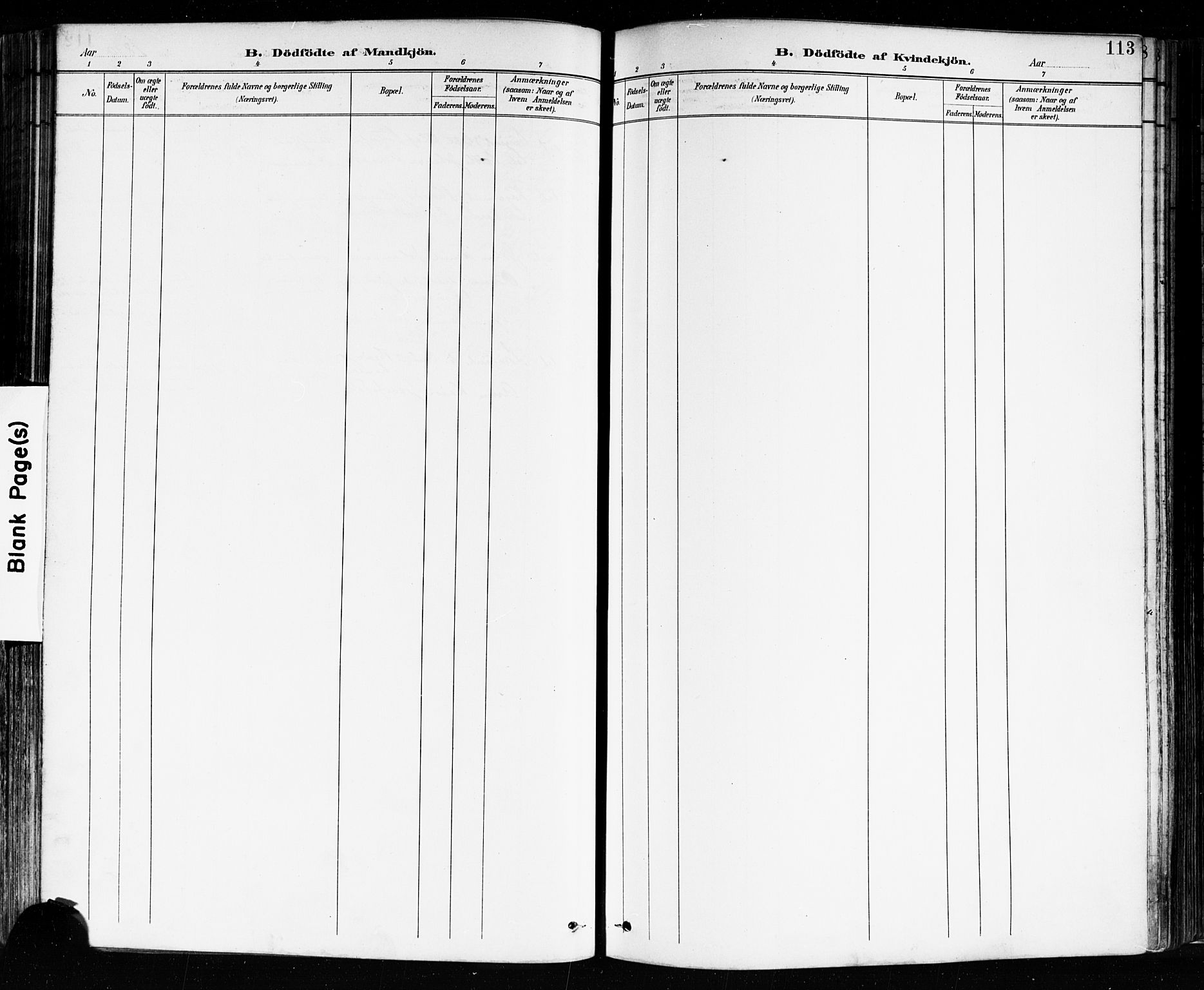 Sarpsborg prestekontor Kirkebøker, AV/SAO-A-2006/F/Fa/L0004: Parish register (official) no. 4, 1892-1899, p. 113