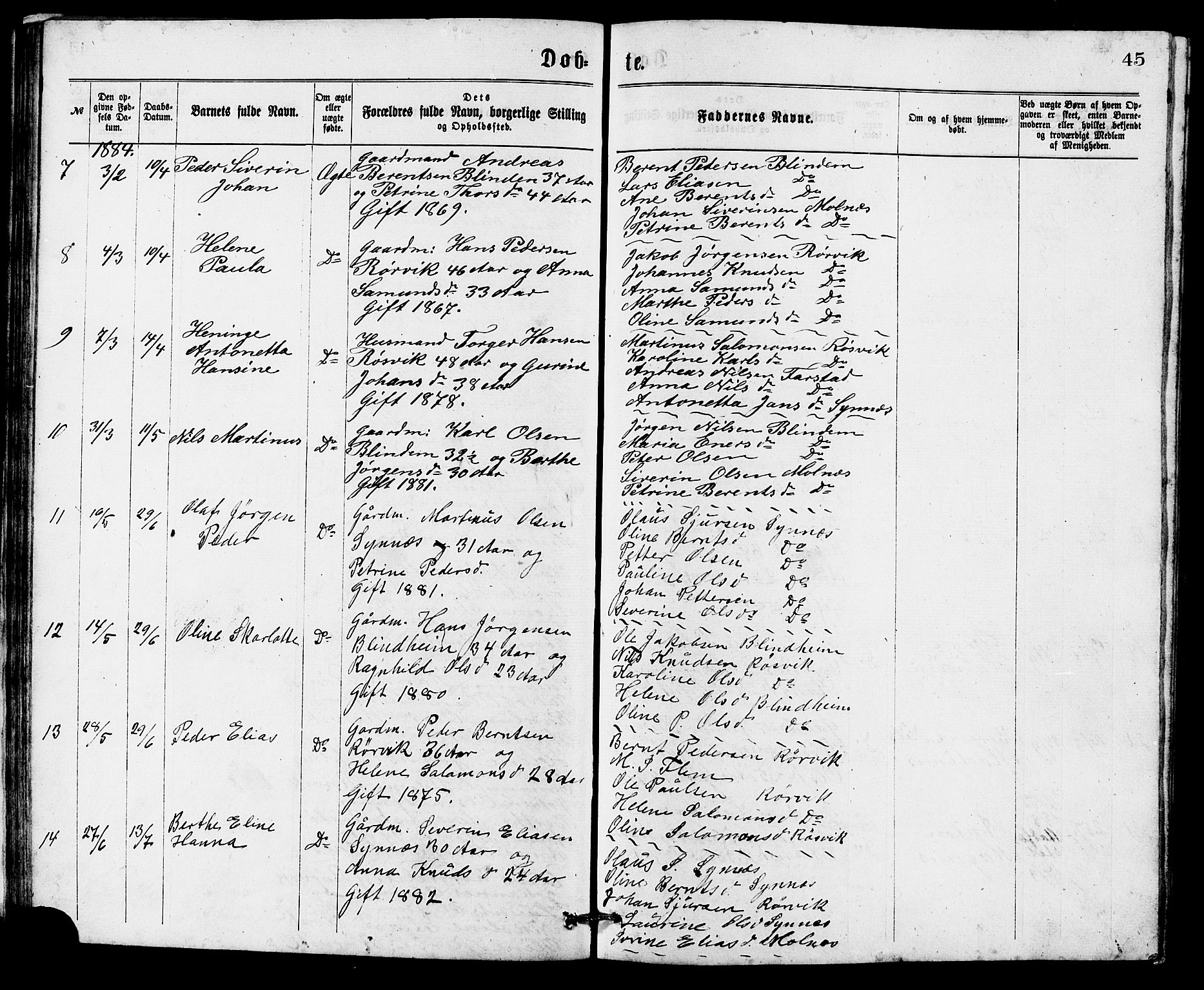 Ministerialprotokoller, klokkerbøker og fødselsregistre - Møre og Romsdal, AV/SAT-A-1454/537/L0521: Parish register (copy) no. 537C02, 1869-1888, p. 45