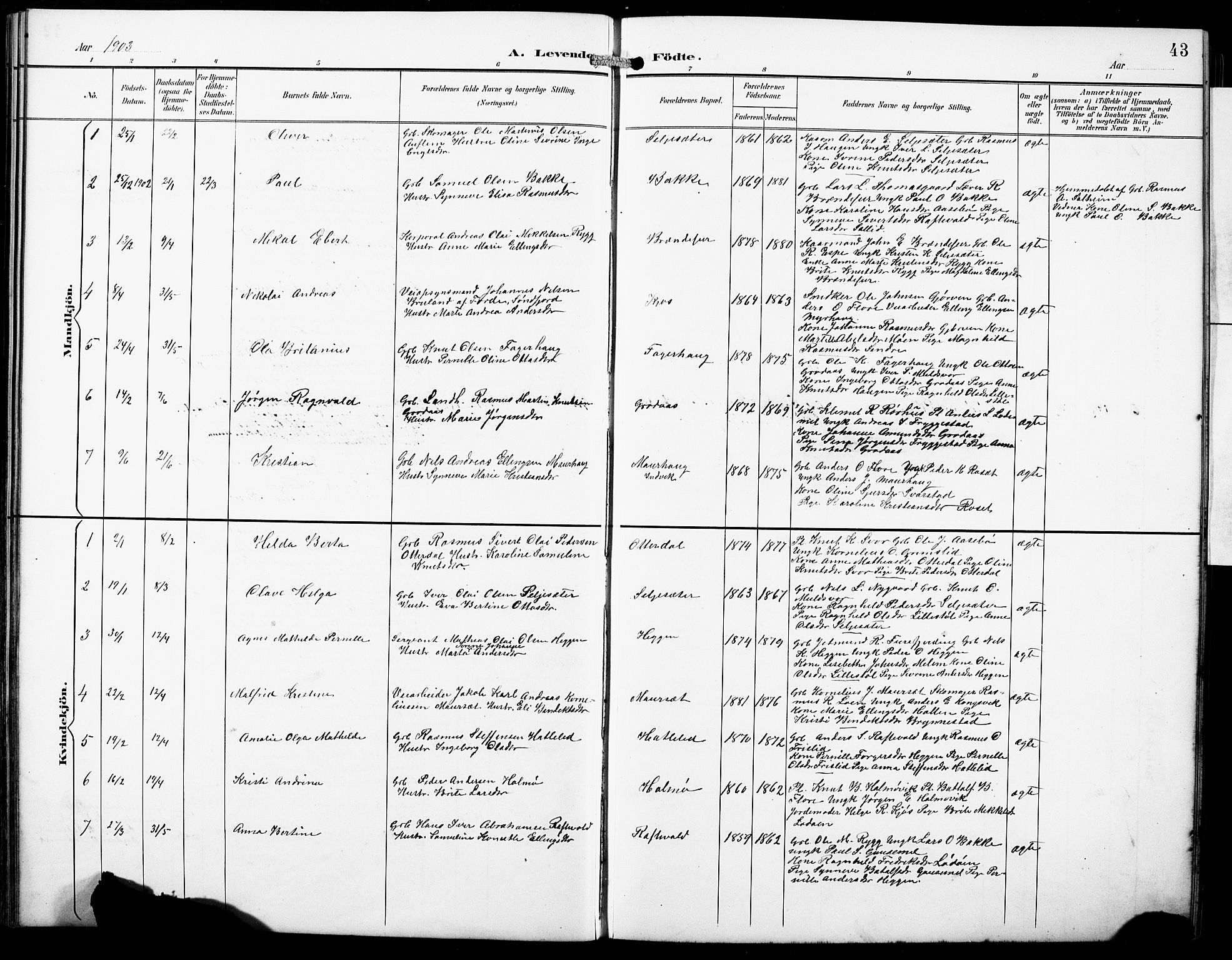 Hornindal sokneprestembete, AV/SAB-A-82401/H/Hab: Parish register (copy) no. A 2, 1894-1927, p. 43