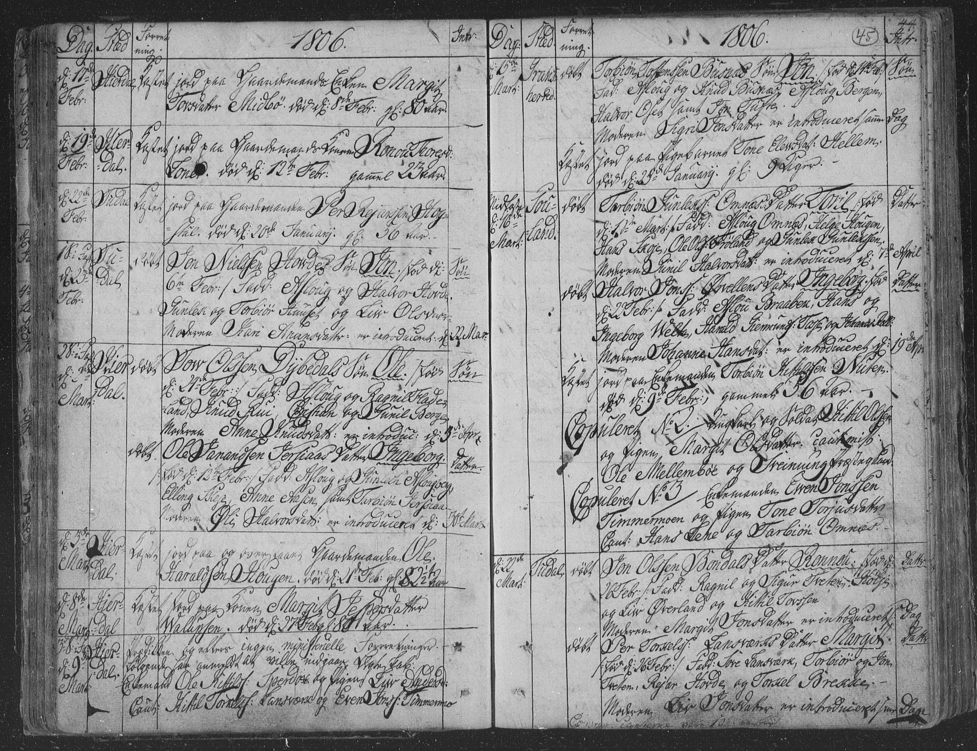 Hjartdal kirkebøker, AV/SAKO-A-270/F/Fa/L0006: Parish register (official) no. I 6, 1801-1814, p. 45