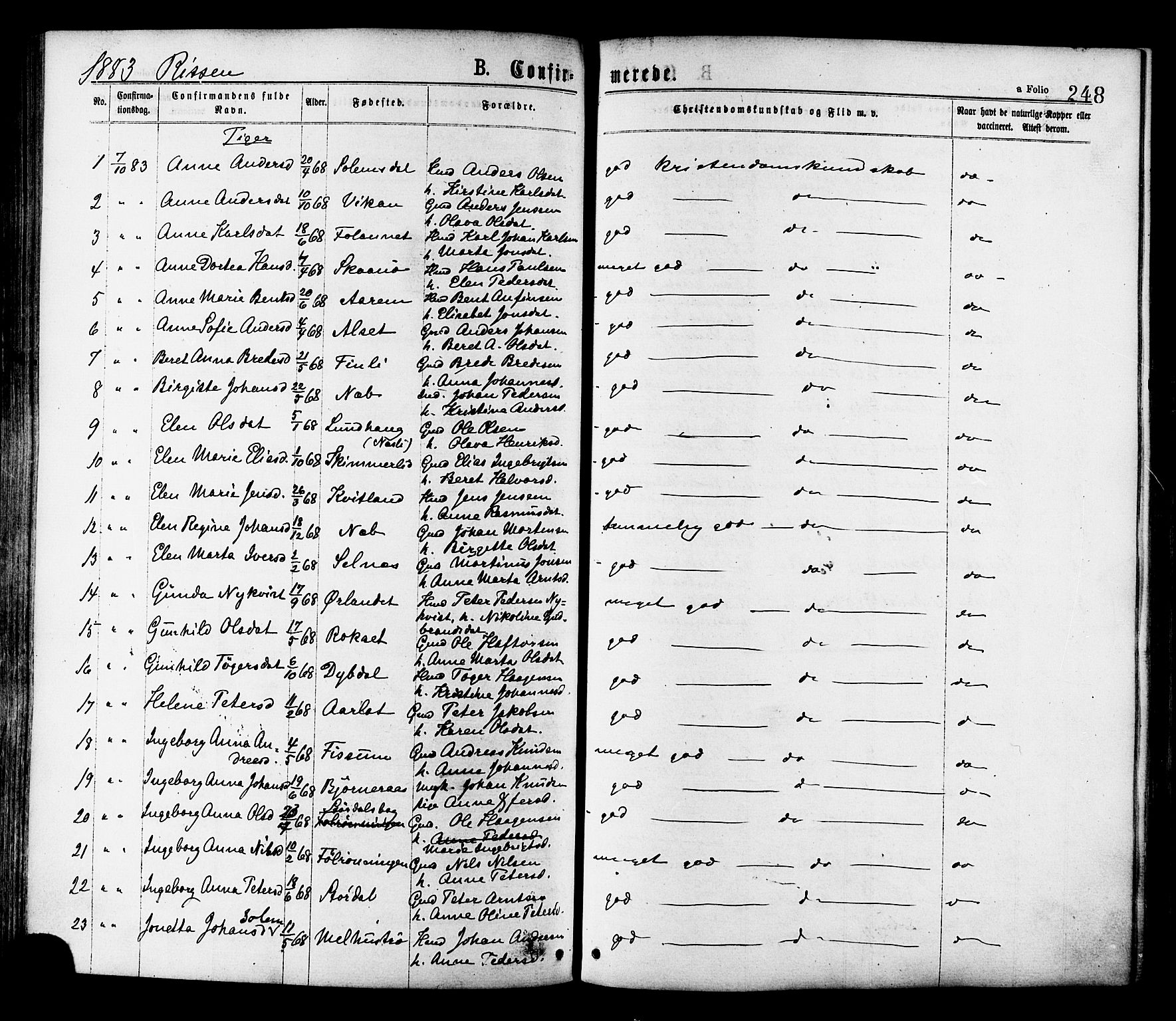 Ministerialprotokoller, klokkerbøker og fødselsregistre - Sør-Trøndelag, AV/SAT-A-1456/646/L0613: Parish register (official) no. 646A11, 1870-1884, p. 248