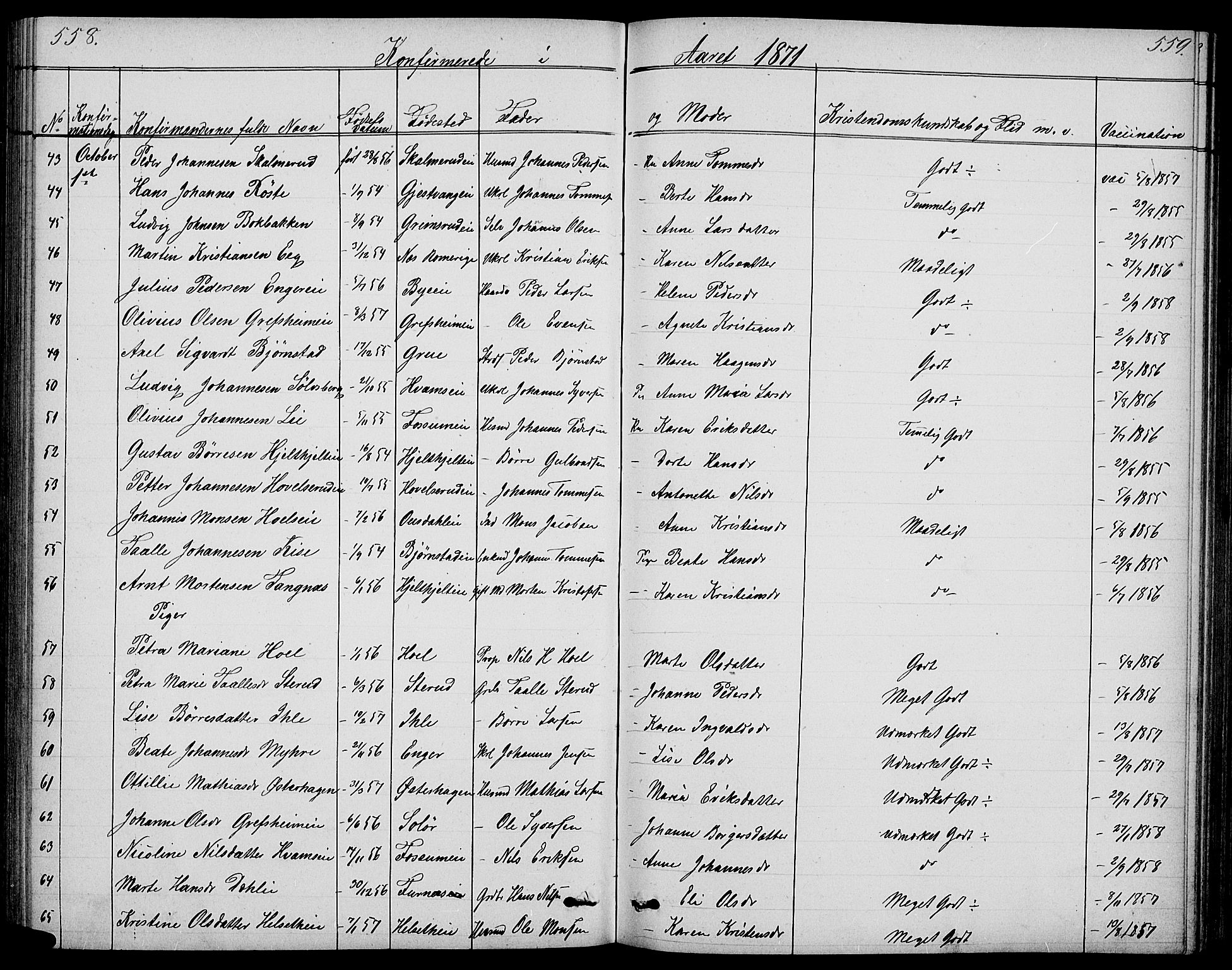 Nes prestekontor, Hedmark, SAH/PREST-020/L/La/L0005: Parish register (copy) no. 5, 1852-1889, p. 558-559