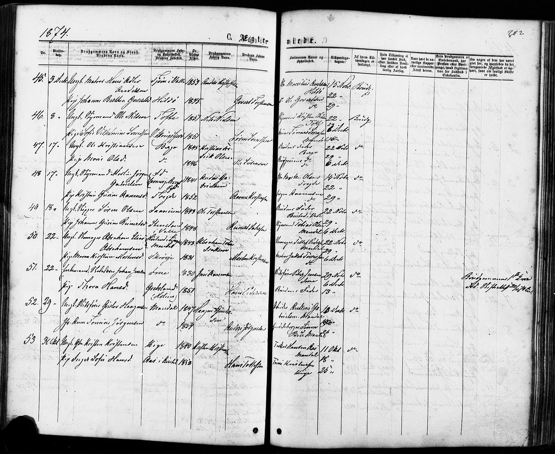 Mandal sokneprestkontor, SAK/1111-0030/F/Fa/Faa/L0015: Parish register (official) no. A 15, 1873-1879, p. 202