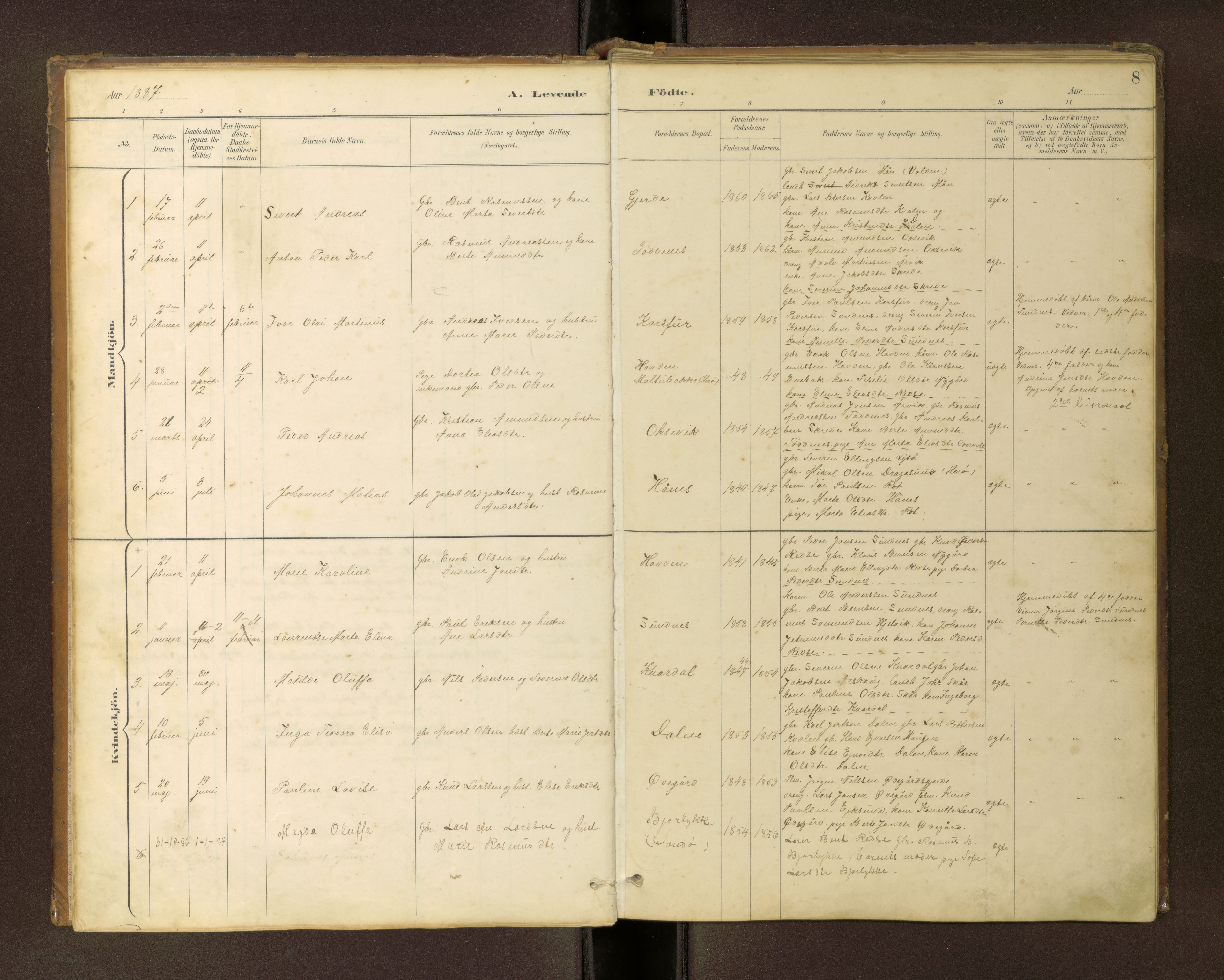 Ministerialprotokoller, klokkerbøker og fødselsregistre - Møre og Romsdal, AV/SAT-A-1454/504/L0060: Parish register (copy) no. 504C02, 1884-1903, p. 8