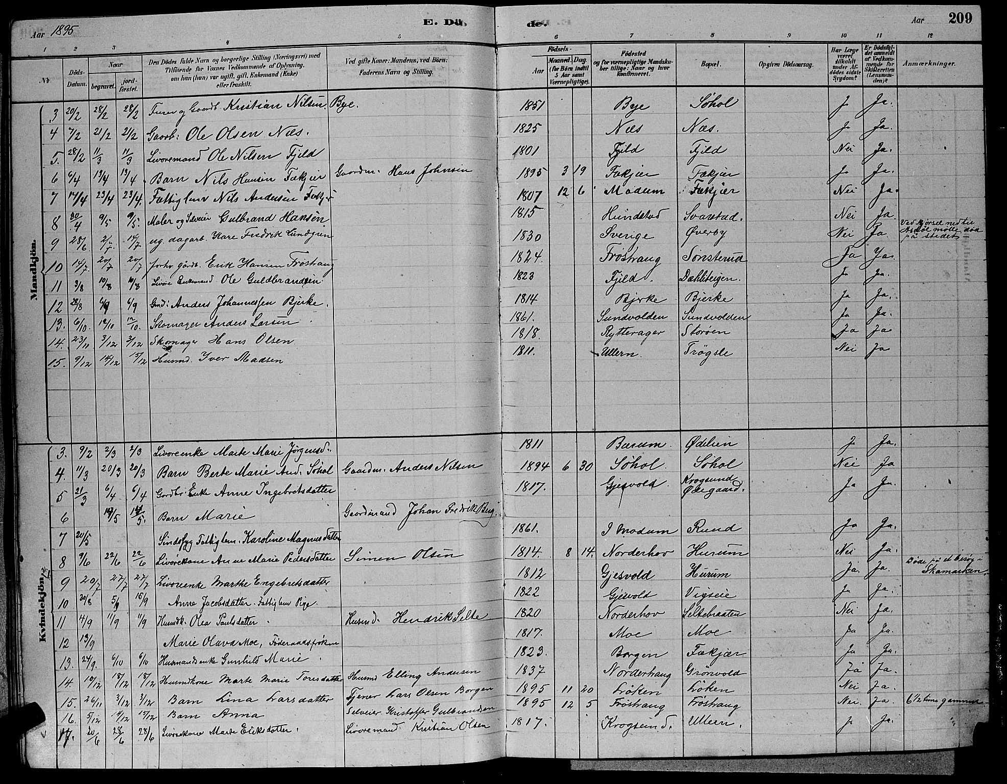 Hole kirkebøker, SAKO/A-228/G/Ga/L0003: Parish register (copy) no. I 3, 1879-1904, p. 209