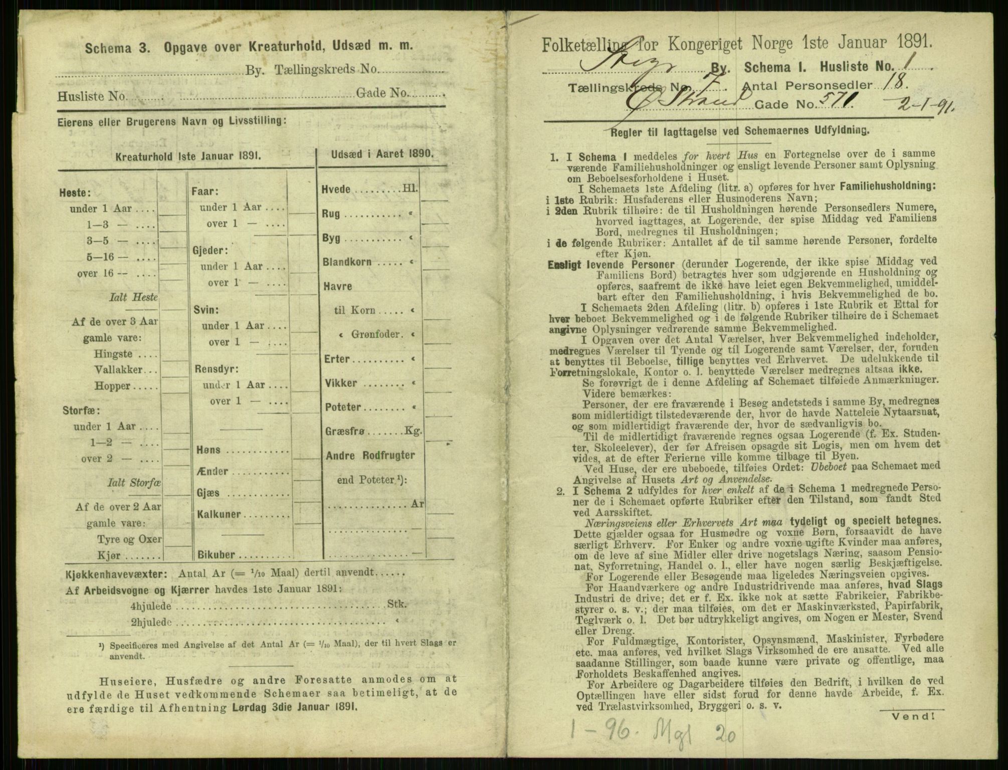 RA, 1891 census for 1103 Stavanger, 1891, p. 1295