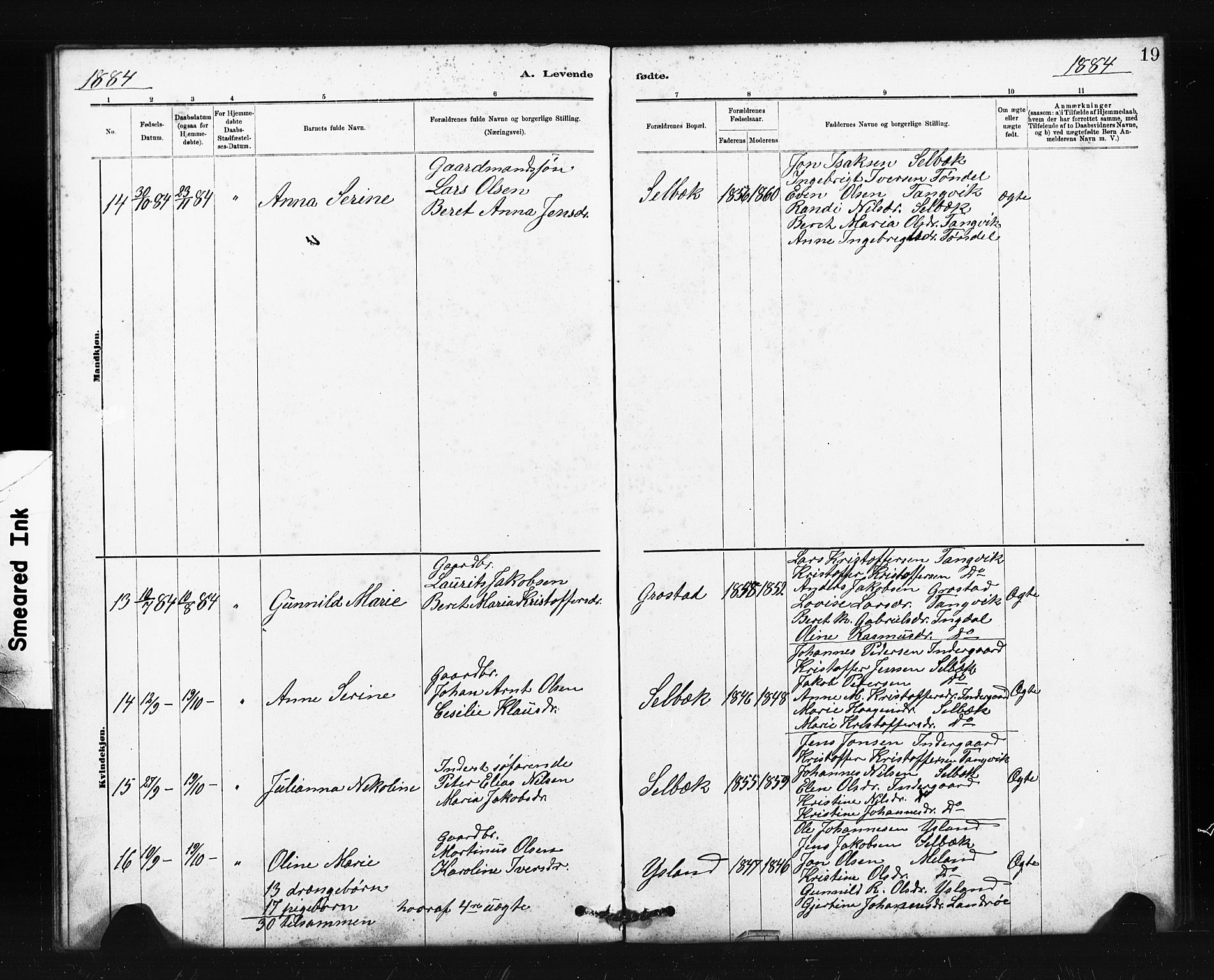 Ministerialprotokoller, klokkerbøker og fødselsregistre - Sør-Trøndelag, SAT/A-1456/663/L0761: Parish register (copy) no. 663C01, 1880-1893, p. 19