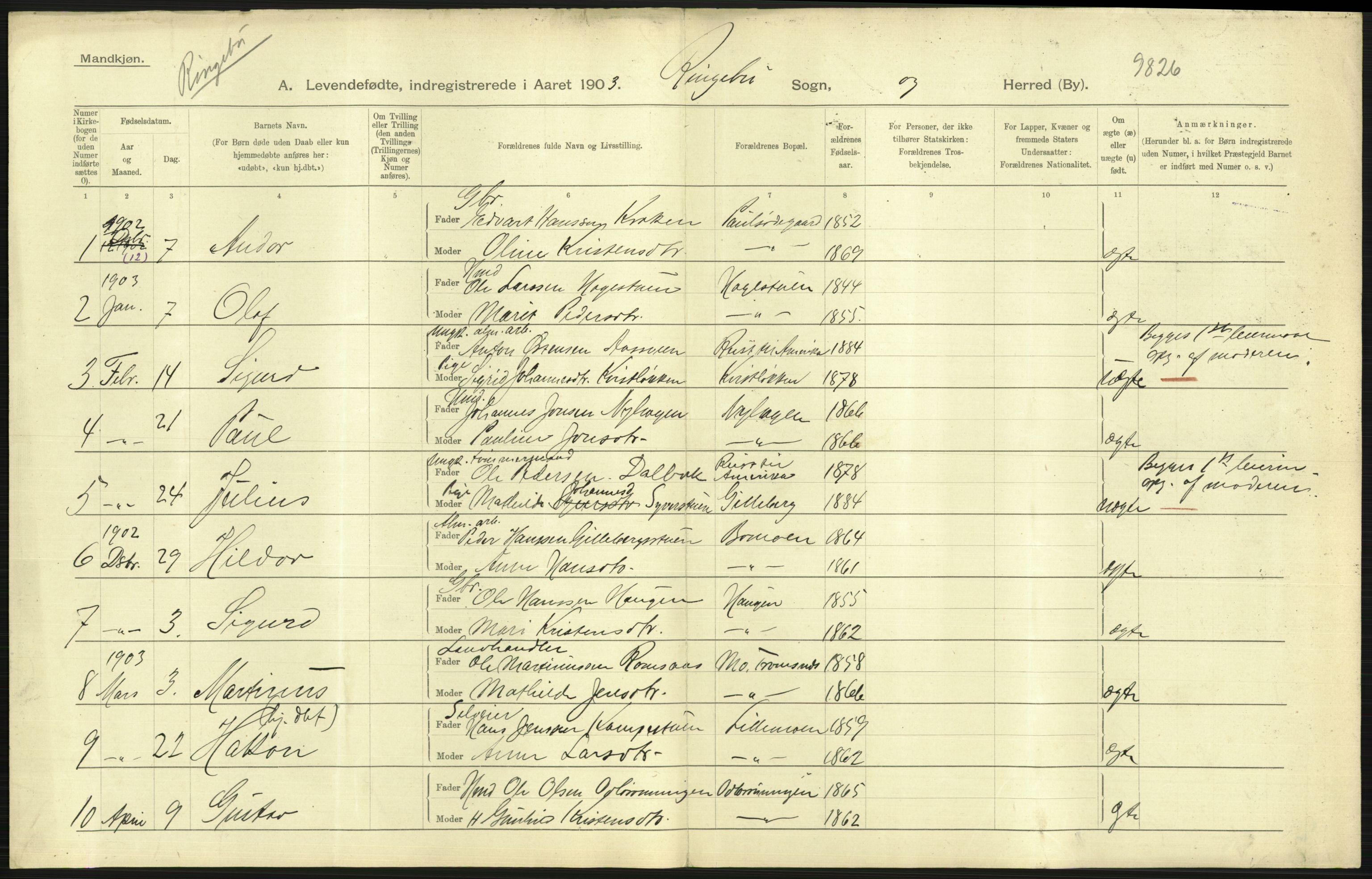 Statistisk sentralbyrå, Sosiodemografiske emner, Befolkning, AV/RA-S-2228/D/Df/Dfa/Dfaa/L0006: Kristians amt: Fødte, gifte, døde, 1903, p. 69