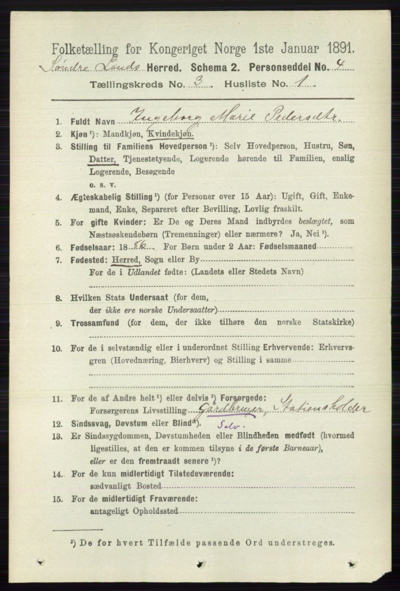 RA, 1891 census for 0536 Søndre Land, 1891, p. 2502