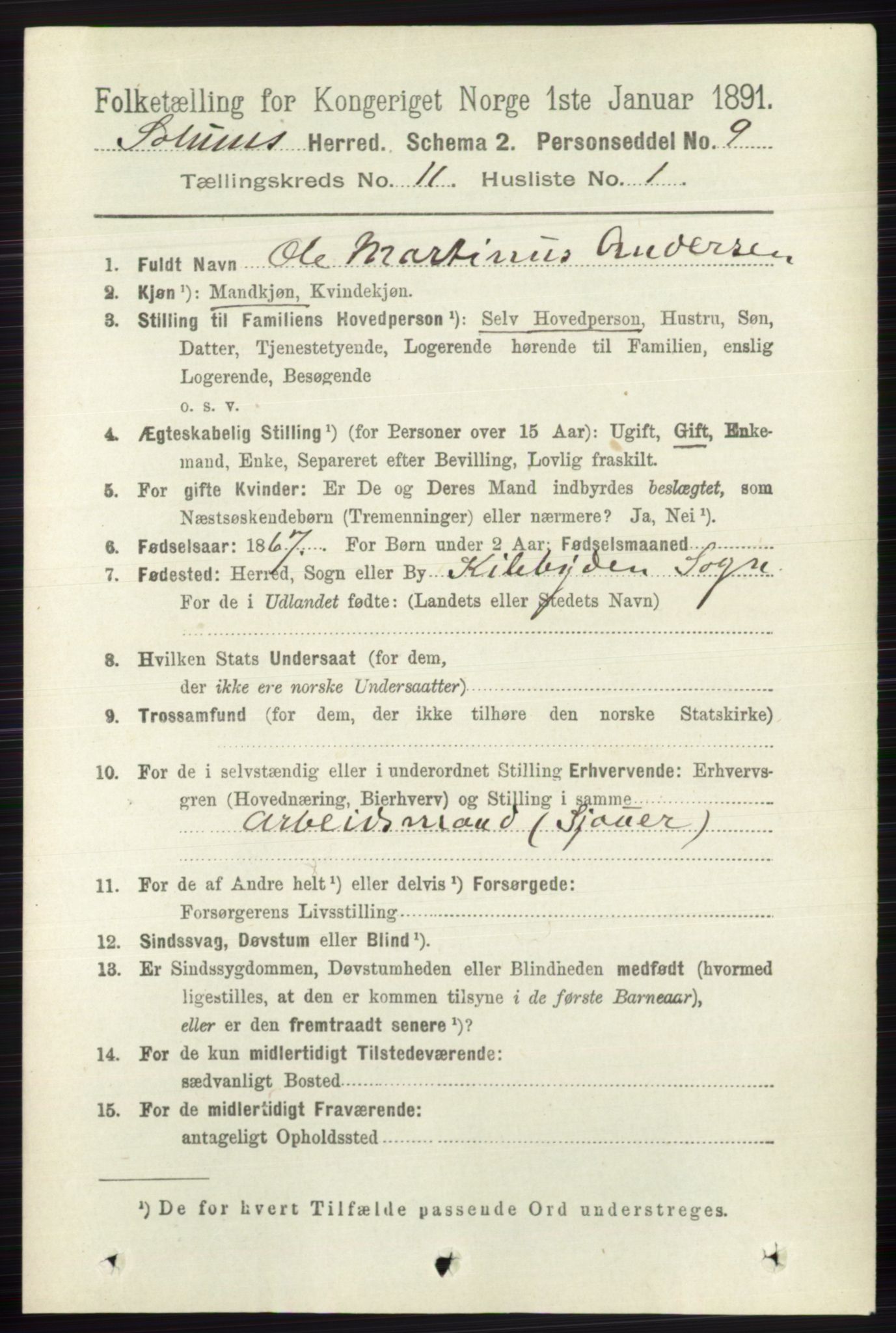 RA, 1891 census for 0818 Solum, 1891, p. 5295