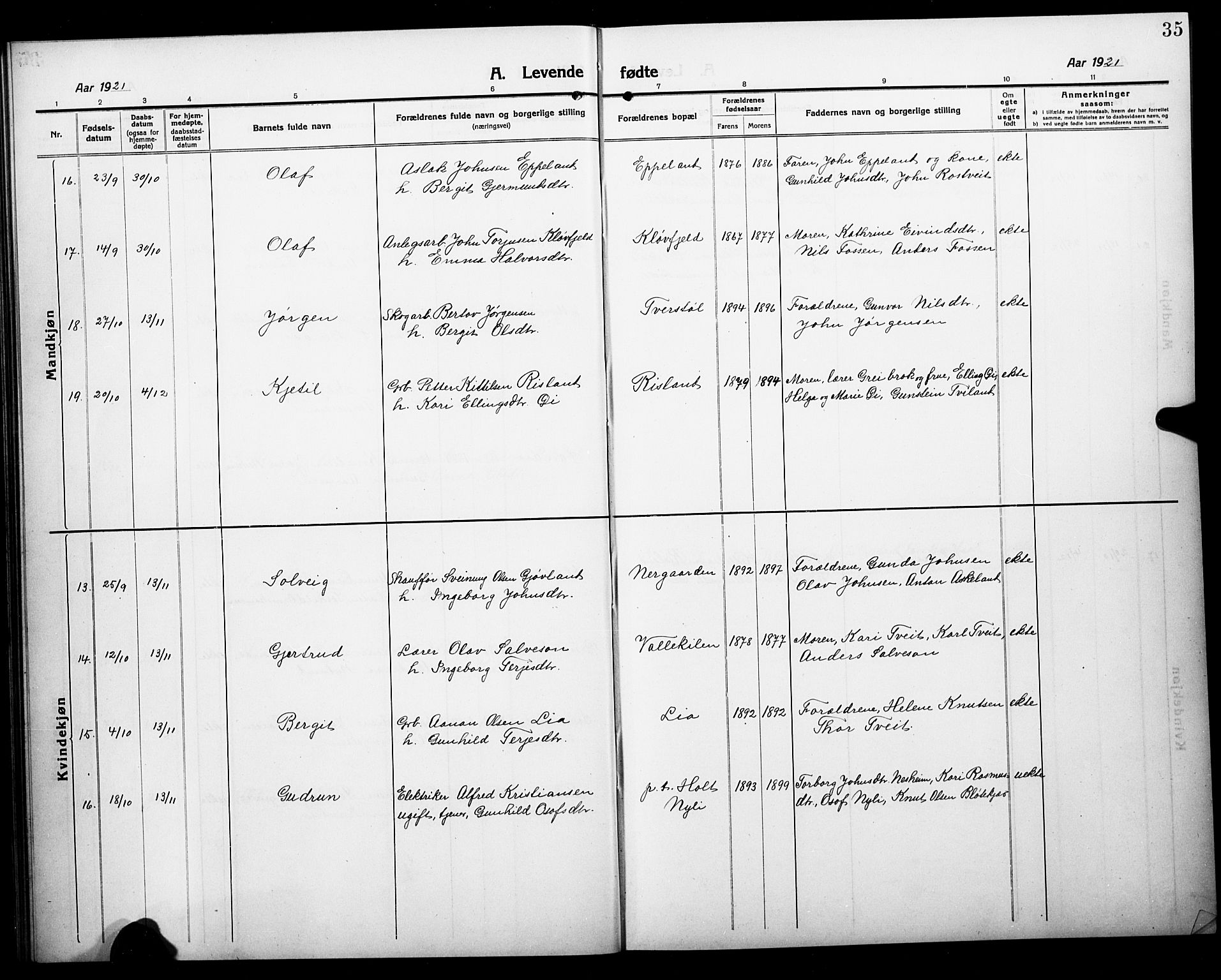 Åmli sokneprestkontor, AV/SAK-1111-0050/F/Fb/Fbc/L0006: Parish register (copy) no. B 6, 1915-1929, p. 35