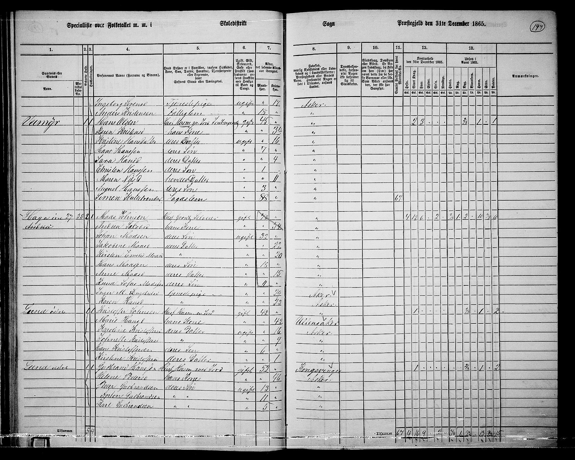 RA, 1865 census for Asker, 1865, p. 189