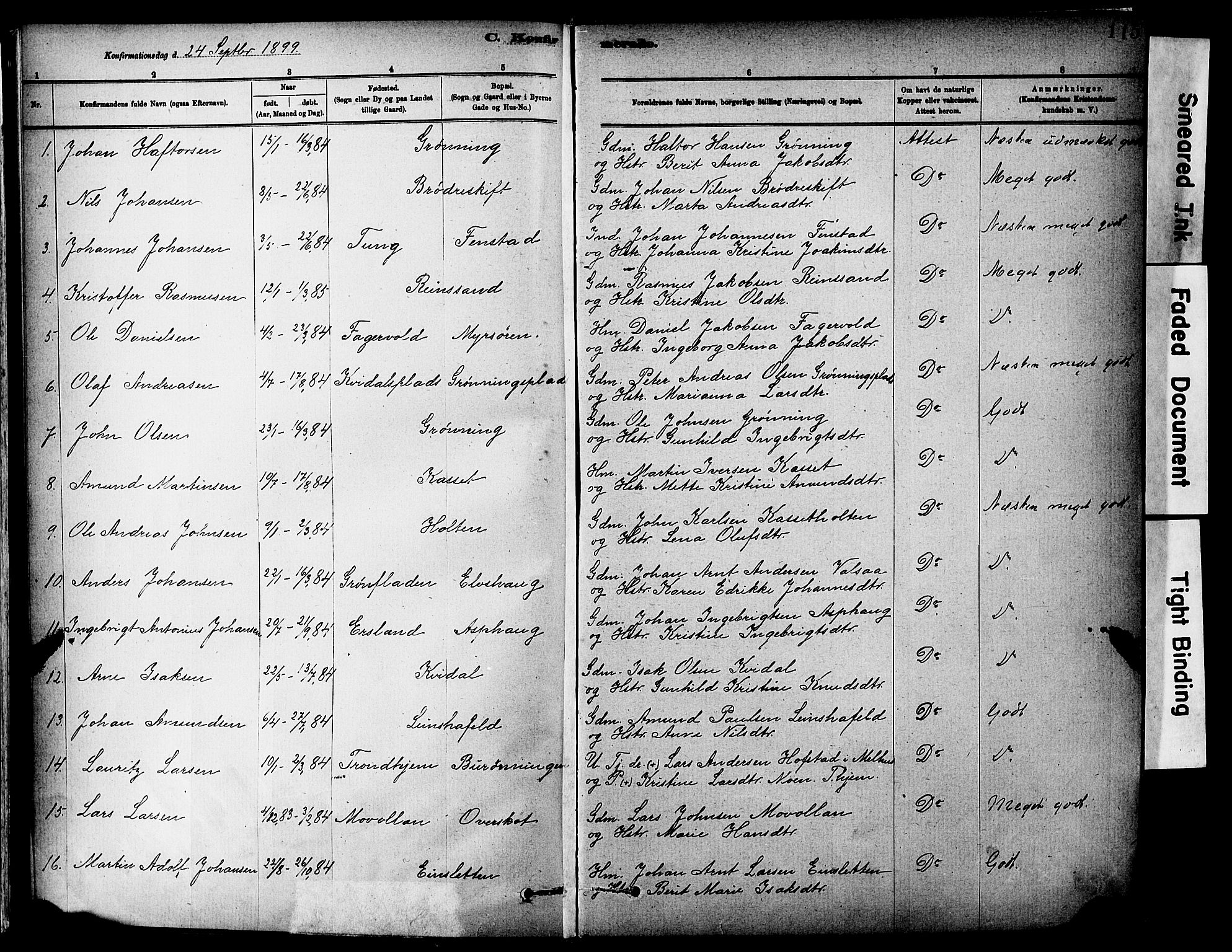 Ministerialprotokoller, klokkerbøker og fødselsregistre - Sør-Trøndelag, SAT/A-1456/646/L0615: Parish register (official) no. 646A13, 1885-1900, p. 115