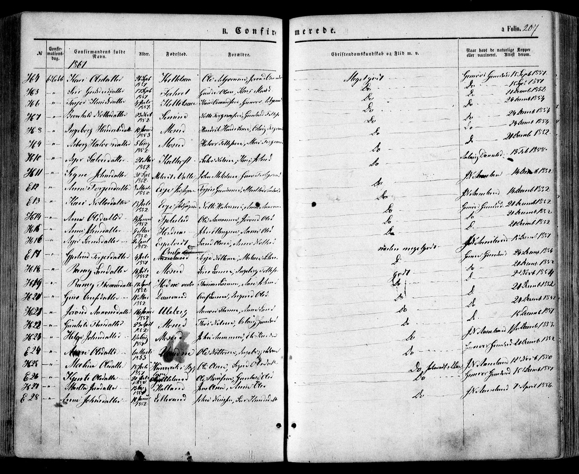 Evje sokneprestkontor, SAK/1111-0008/F/Fa/Faa/L0006: Parish register (official) no. A 6, 1866-1884, p. 207