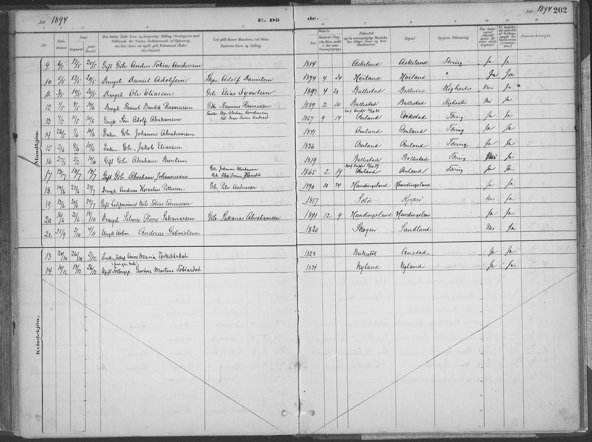 Lyngdal sokneprestkontor, AV/SAK-1111-0029/F/Fa/Faa/L0004: Parish register (official) no. A 4, 1883-1904, p. 202