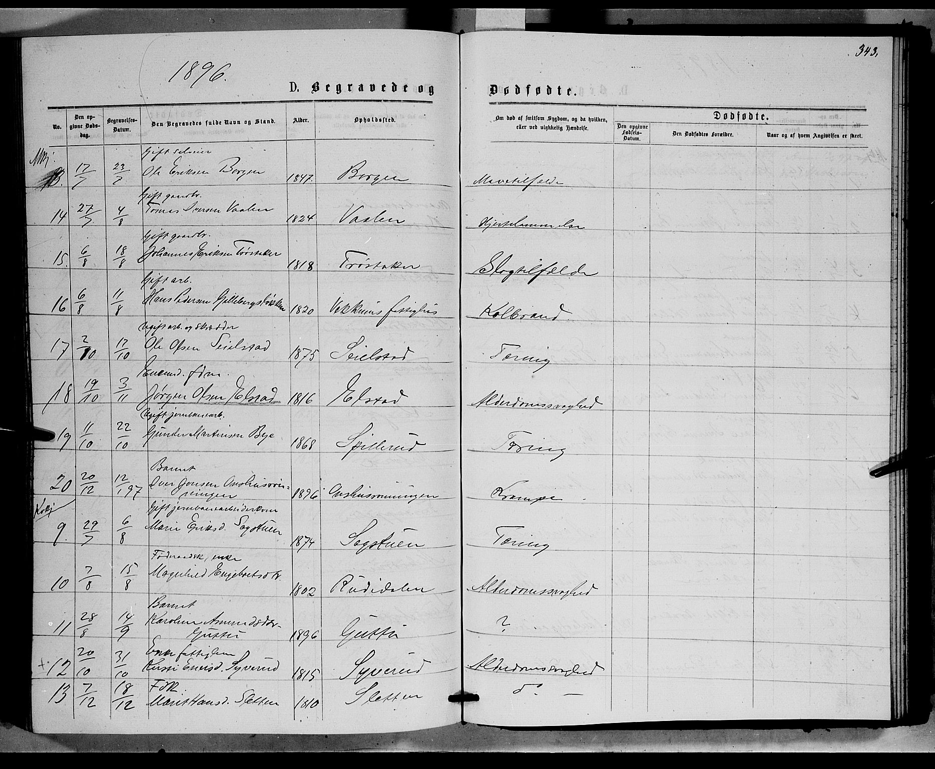 Ringebu prestekontor, SAH/PREST-082/H/Ha/Hab/L0006: Parish register (copy) no. 6, 1880-1898, p. 343