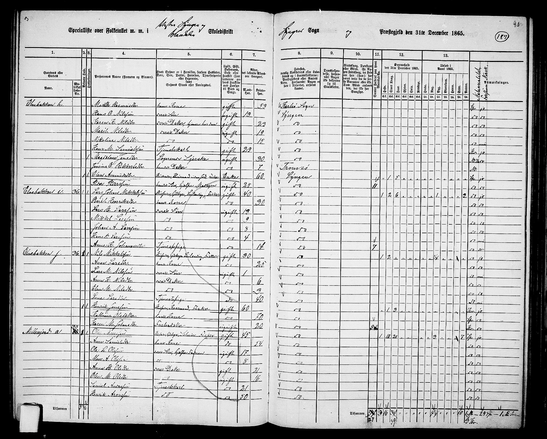 RA, 1865 census for Lyngen, 1865, p. 22