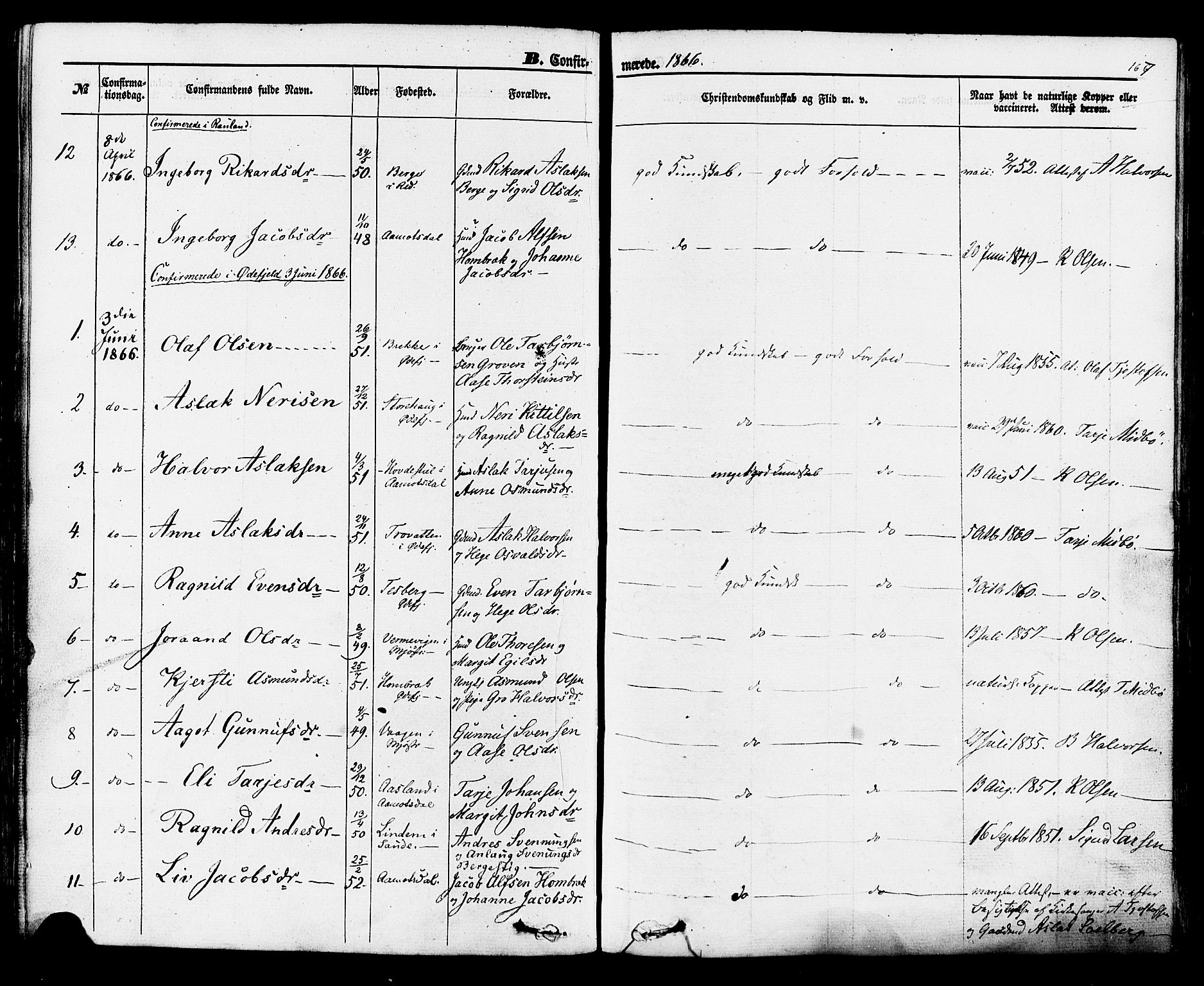 Rauland kirkebøker, SAKO/A-292/F/Fa/L0003: Parish register (official) no. 3, 1859-1886, p. 167