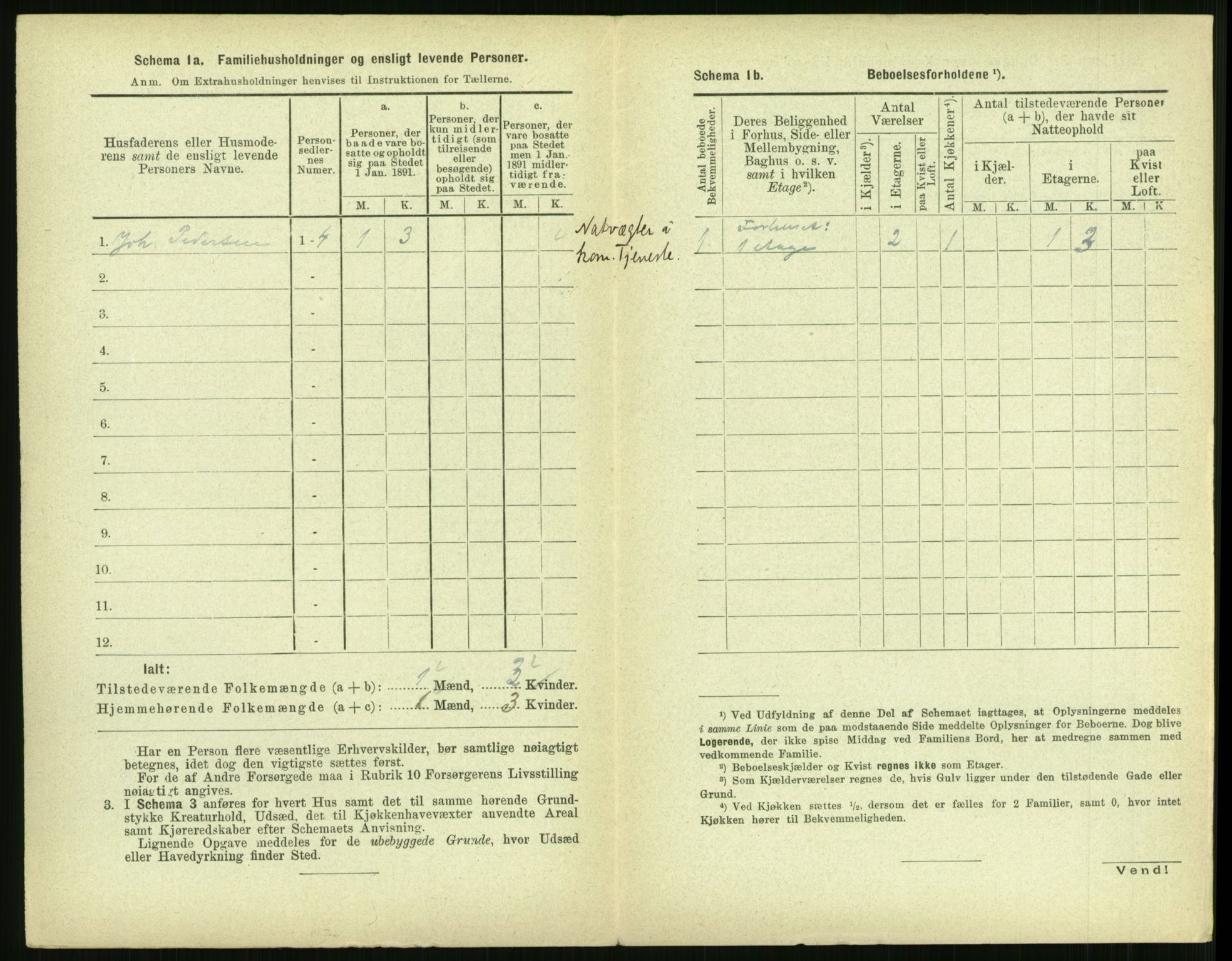 RA, 1891 census for 1702 Steinkjer, 1891, p. 2184