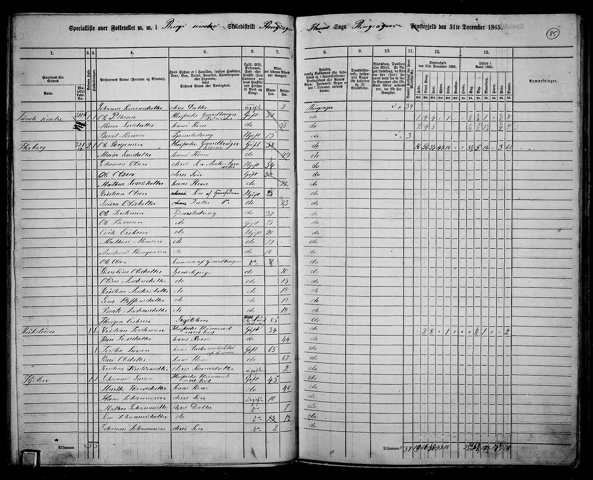 RA, 1865 census for Ringsaker, 1865, p. 334