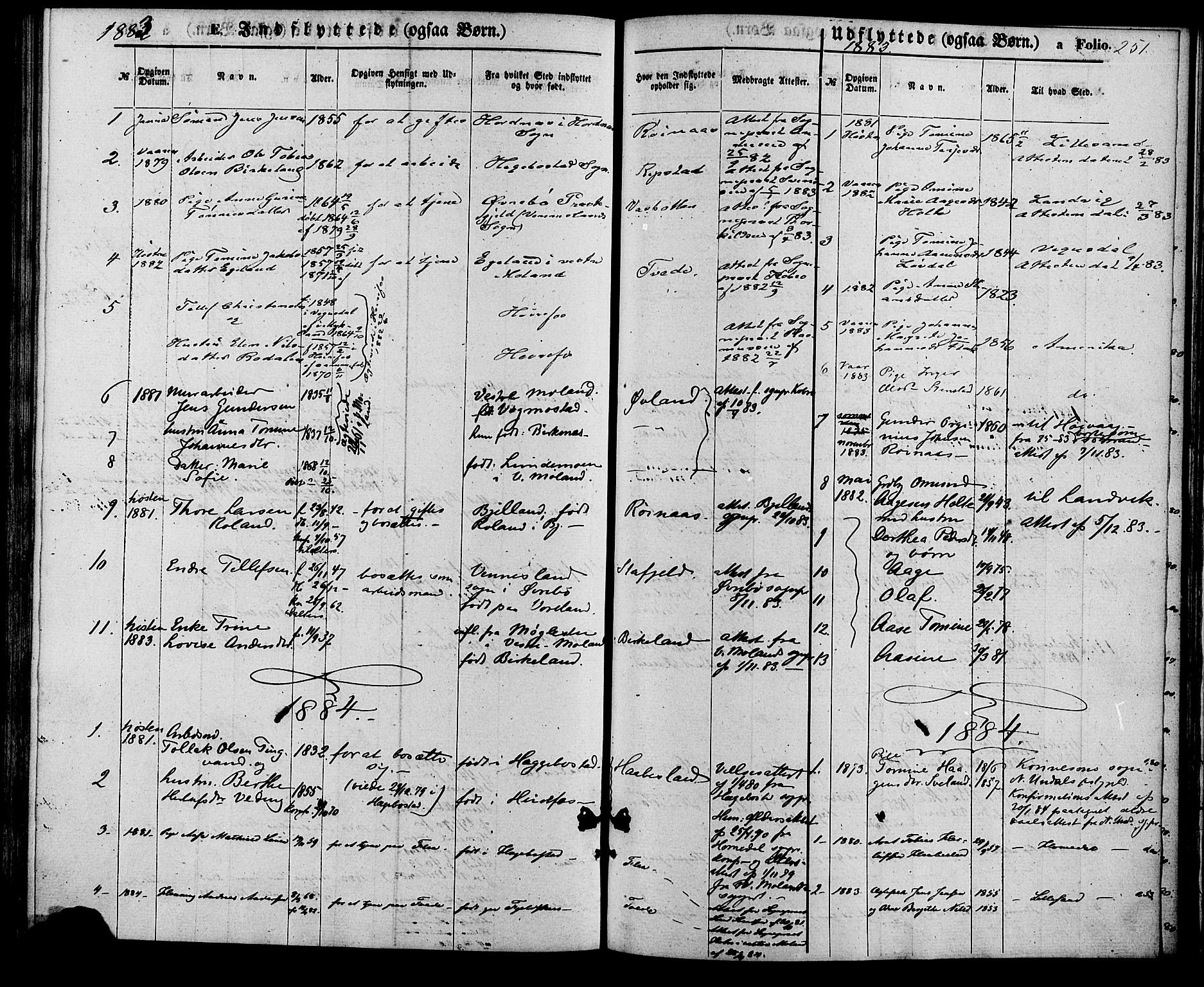 Birkenes sokneprestkontor, SAK/1111-0004/F/Fa/L0004: Parish register (official) no. A 4, 1867-1886, p. 251