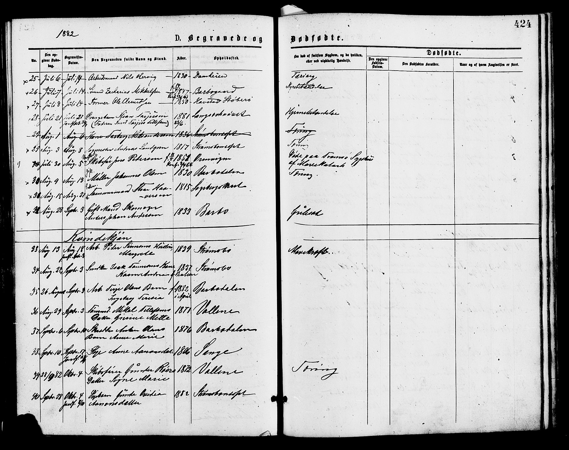 Barbu sokneprestkontor, AV/SAK-1111-0003/F/Fa/L0001: Parish register (official) no. A 1 /1, 1878-1883, p. 424