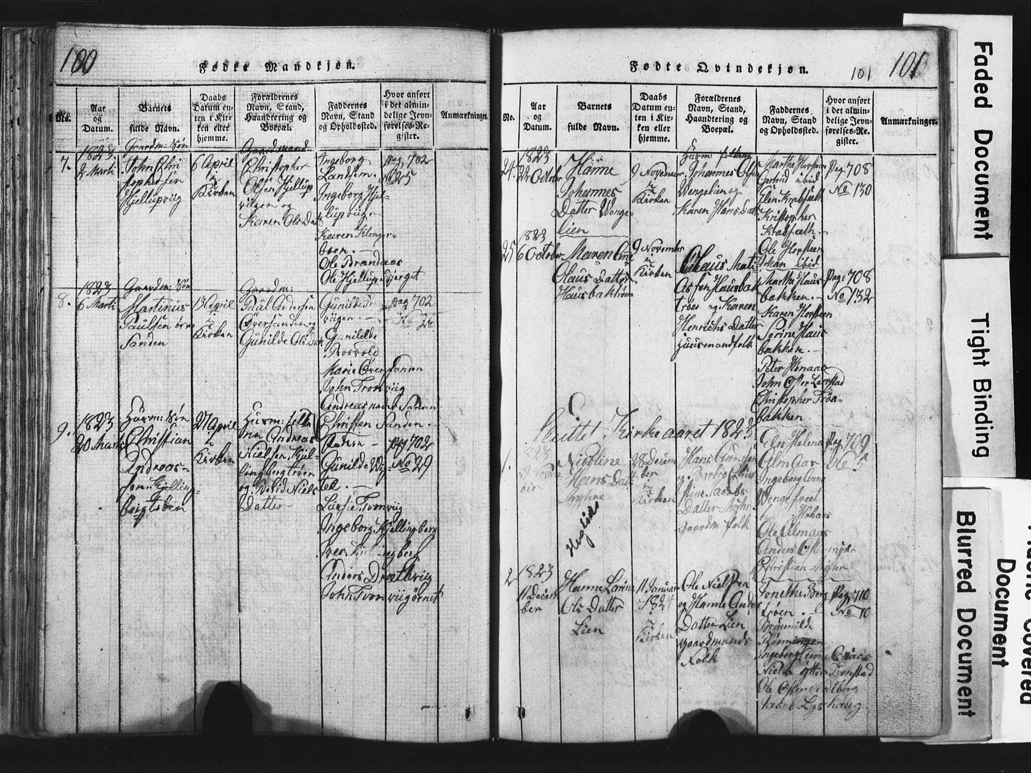 Ministerialprotokoller, klokkerbøker og fødselsregistre - Nord-Trøndelag, AV/SAT-A-1458/701/L0017: Parish register (copy) no. 701C01, 1817-1825, p. 100-101