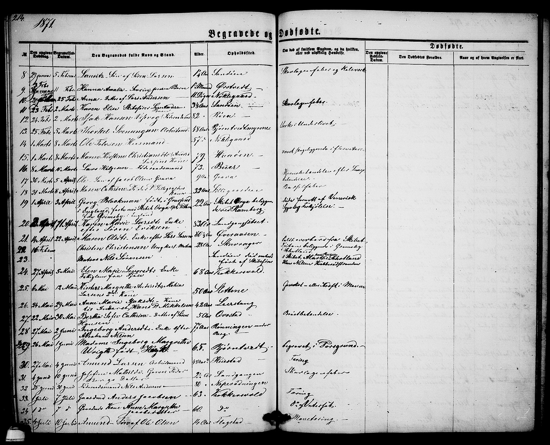 Eidanger kirkebøker, AV/SAKO-A-261/G/Ga/L0001: Parish register (copy) no. 1, 1863-1878, p. 214