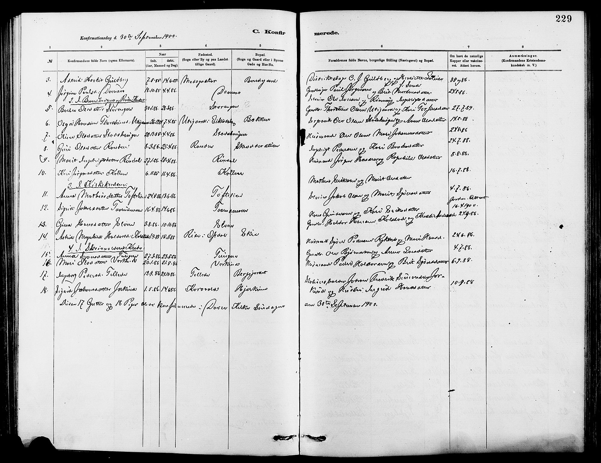 Dovre prestekontor, SAH/PREST-066/H/Ha/Hab/L0002: Parish register (copy) no. 2, 1881-1907, p. 229