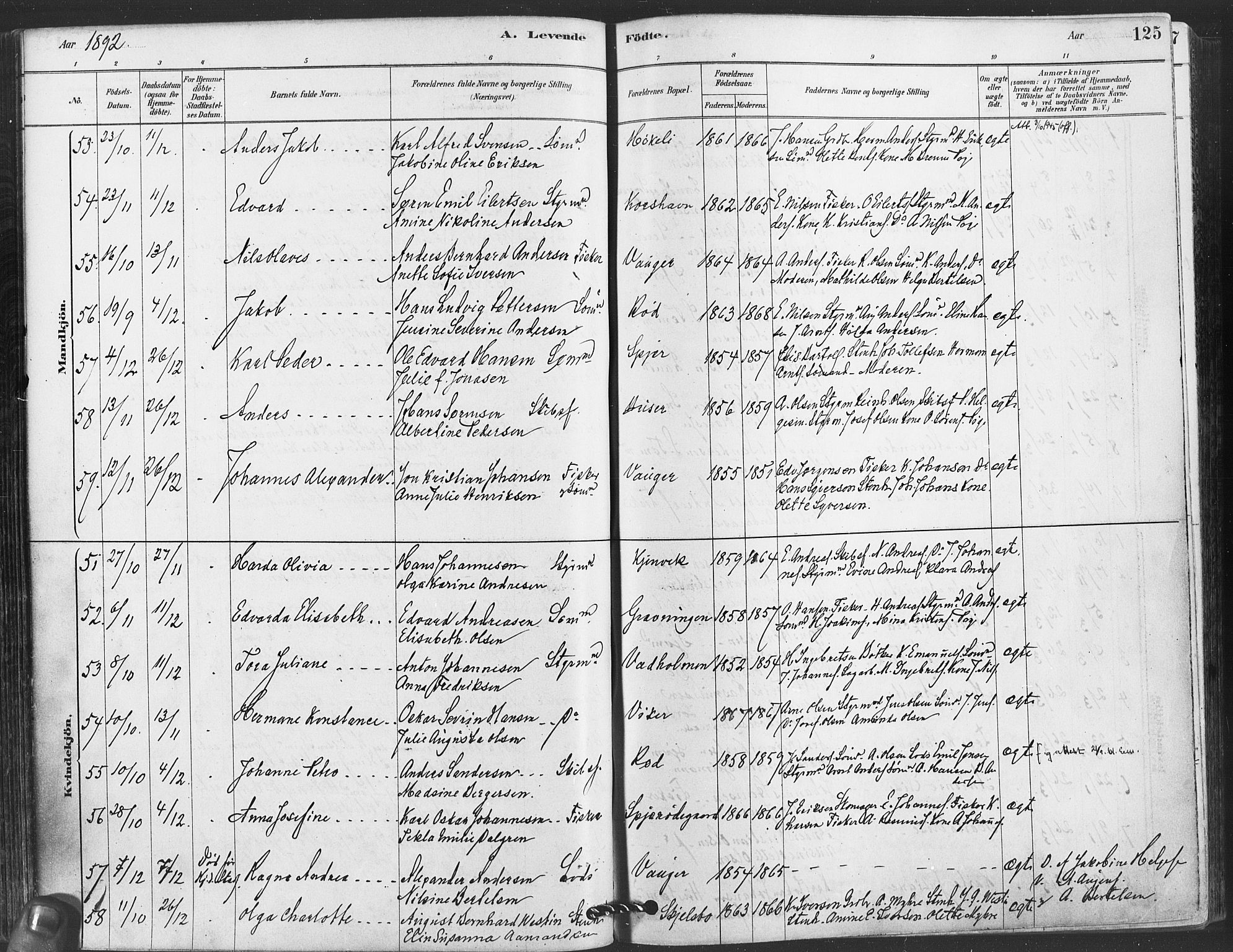 Hvaler prestekontor Kirkebøker, AV/SAO-A-2001/F/Fa/L0008: Parish register (official) no. I 8, 1878-1895, p. 125